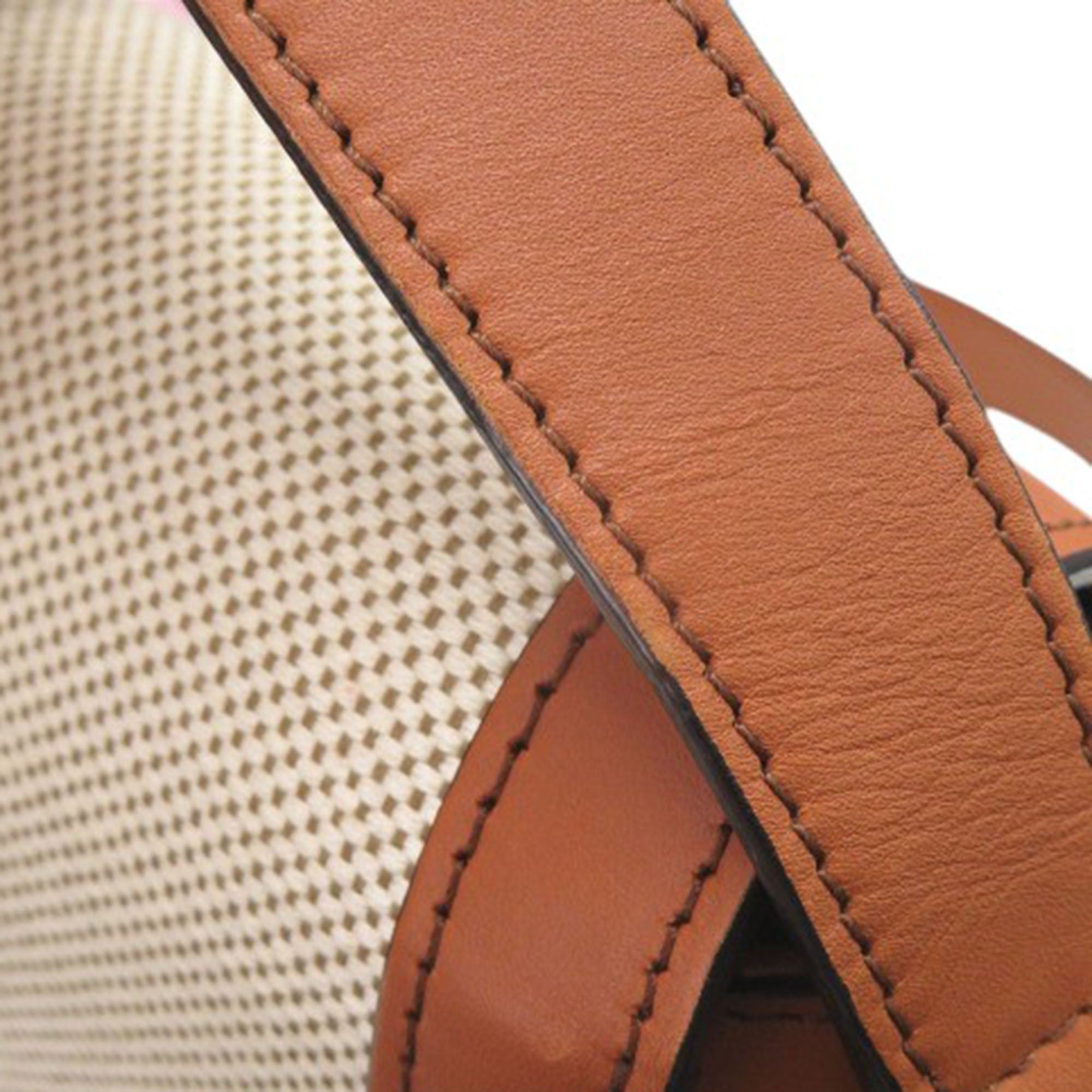 Celine Classique Canvas and Calfskin Triomphe Crossbody Size ONE SIZE - 19 Thumbnail