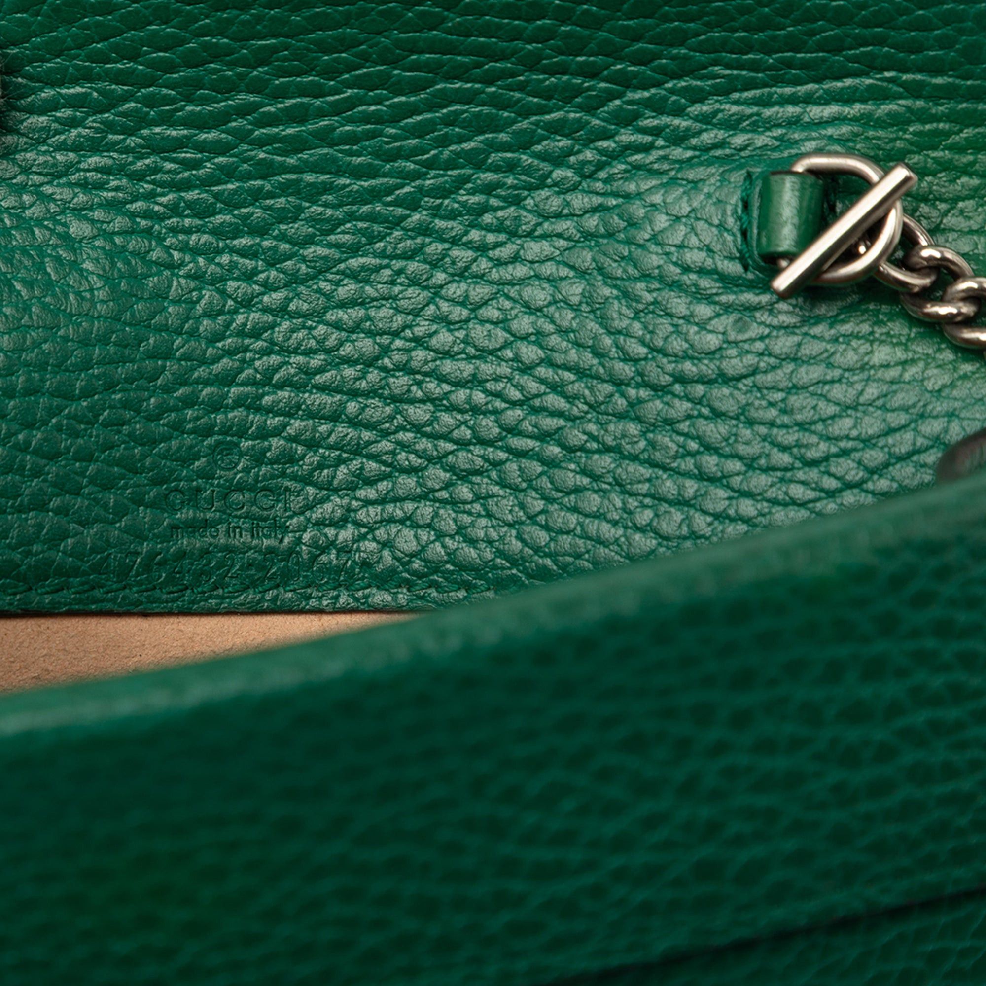 Gucci Calfskin Dionysus Crossbody Size ONE SIZE - 5 Thumbnail