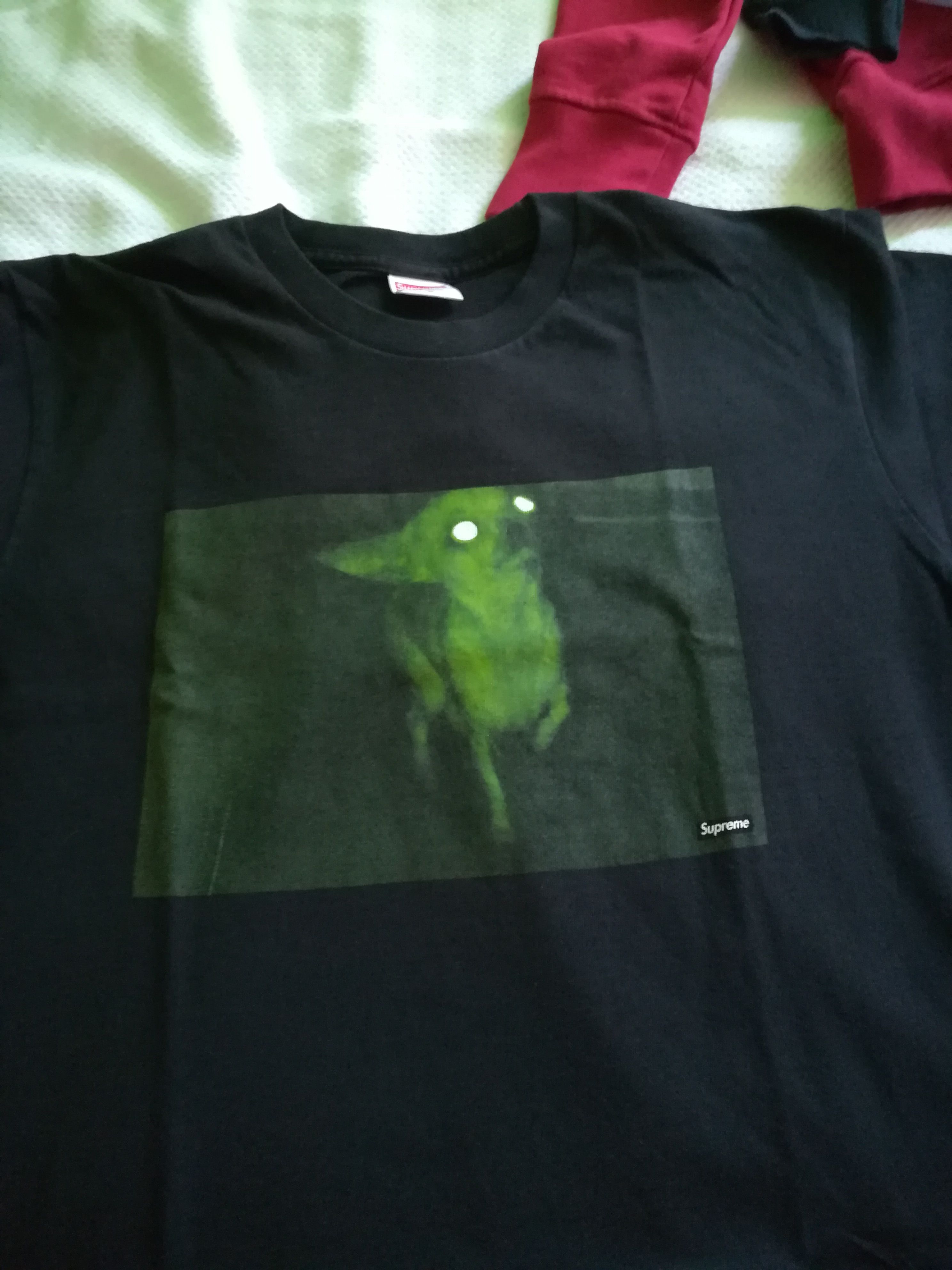 Supreme Chihuahua Tees Short Sleeve T Shirts