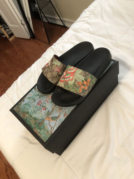 Gucci slides clearance with bird