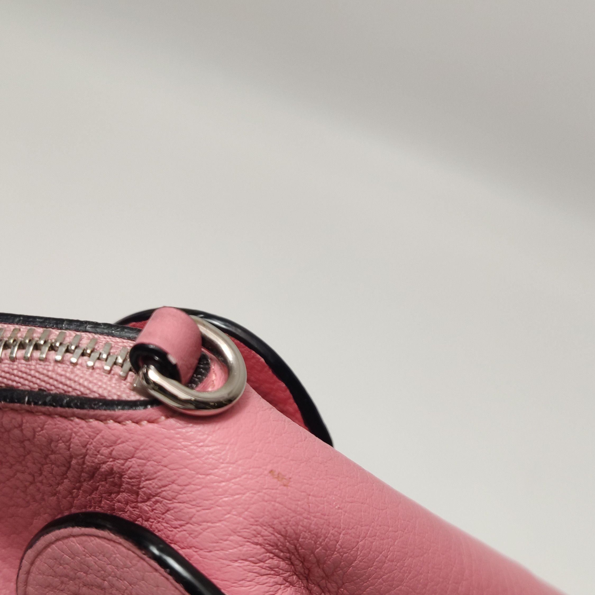 Loewe Loewe Elephant Mini Pink Leather Crossbody Bag Size ONE SIZE - 9 Thumbnail