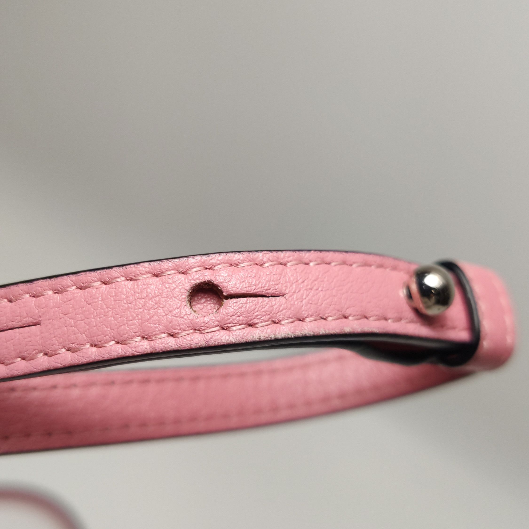 Loewe Loewe Elephant Mini Pink Leather Crossbody Bag Size ONE SIZE - 7 Thumbnail