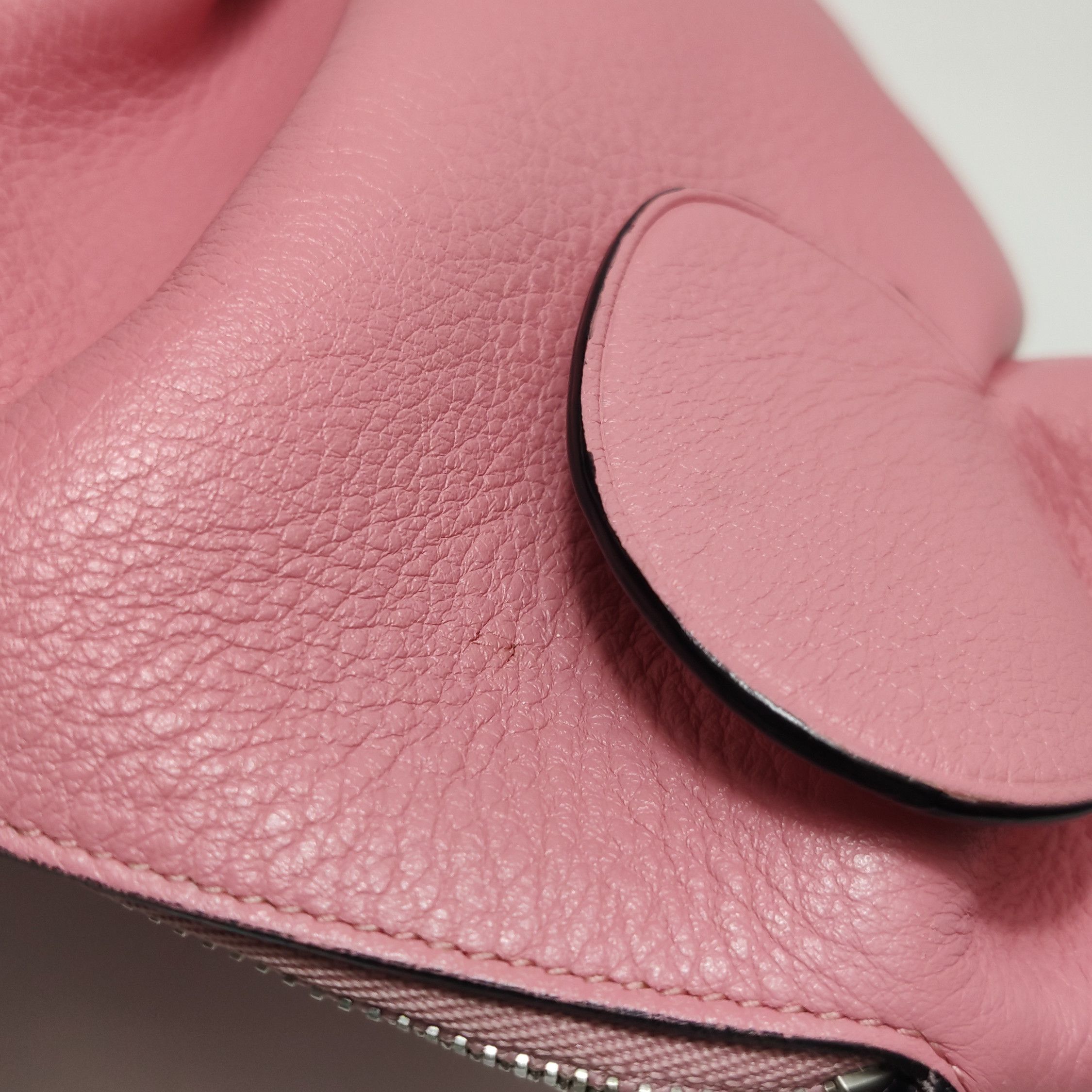 Loewe Loewe Elephant Mini Pink Leather Crossbody Bag Size ONE SIZE - 15 Thumbnail