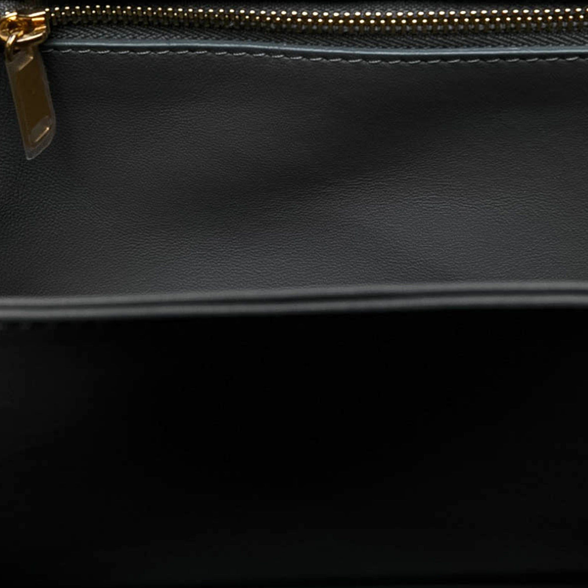 Celine Classique Shiny Calfskin Triomphe Crossbody Size ONE SIZE - 3 Thumbnail
