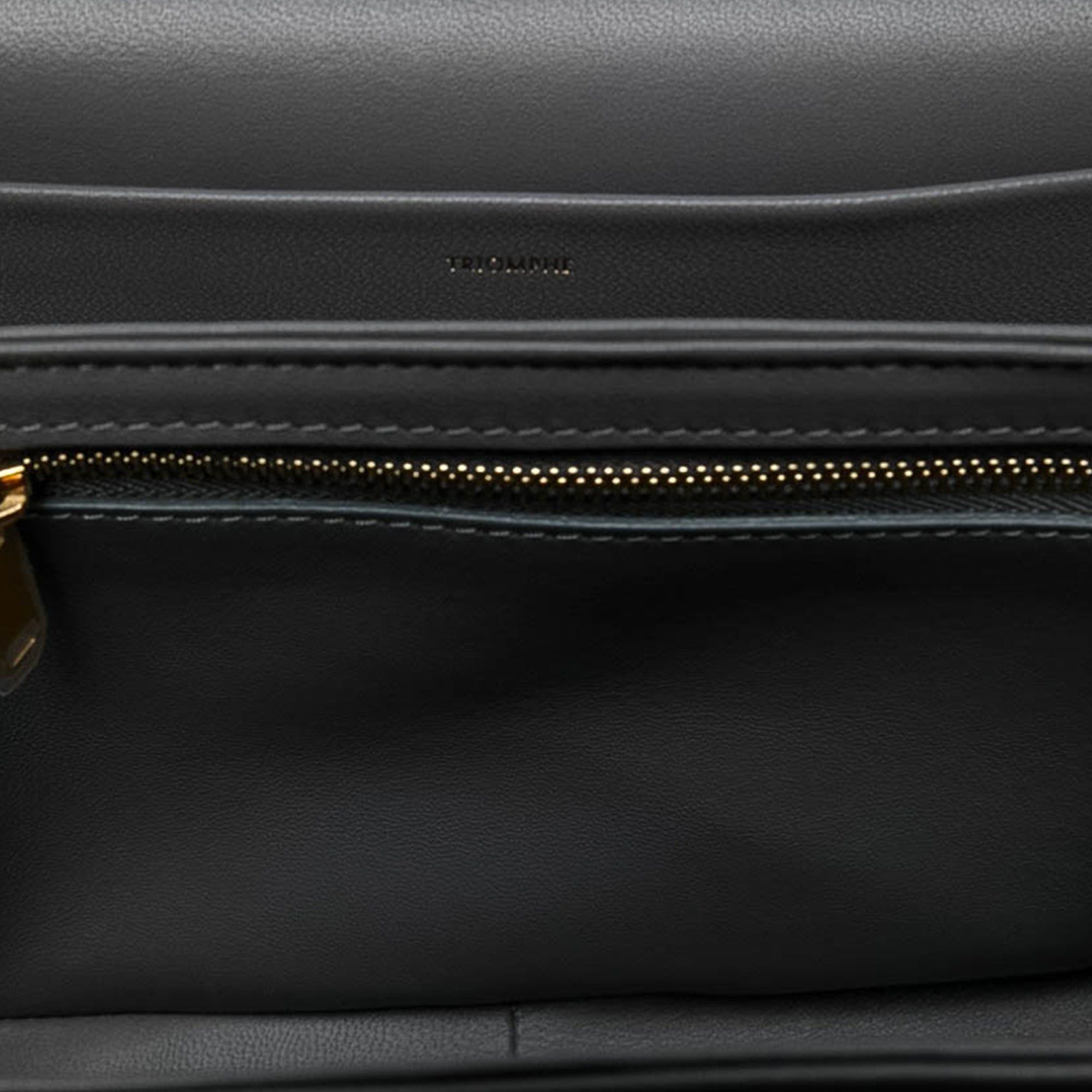 Celine Classique Shiny Calfskin Triomphe Crossbody Size ONE SIZE - 4 Thumbnail