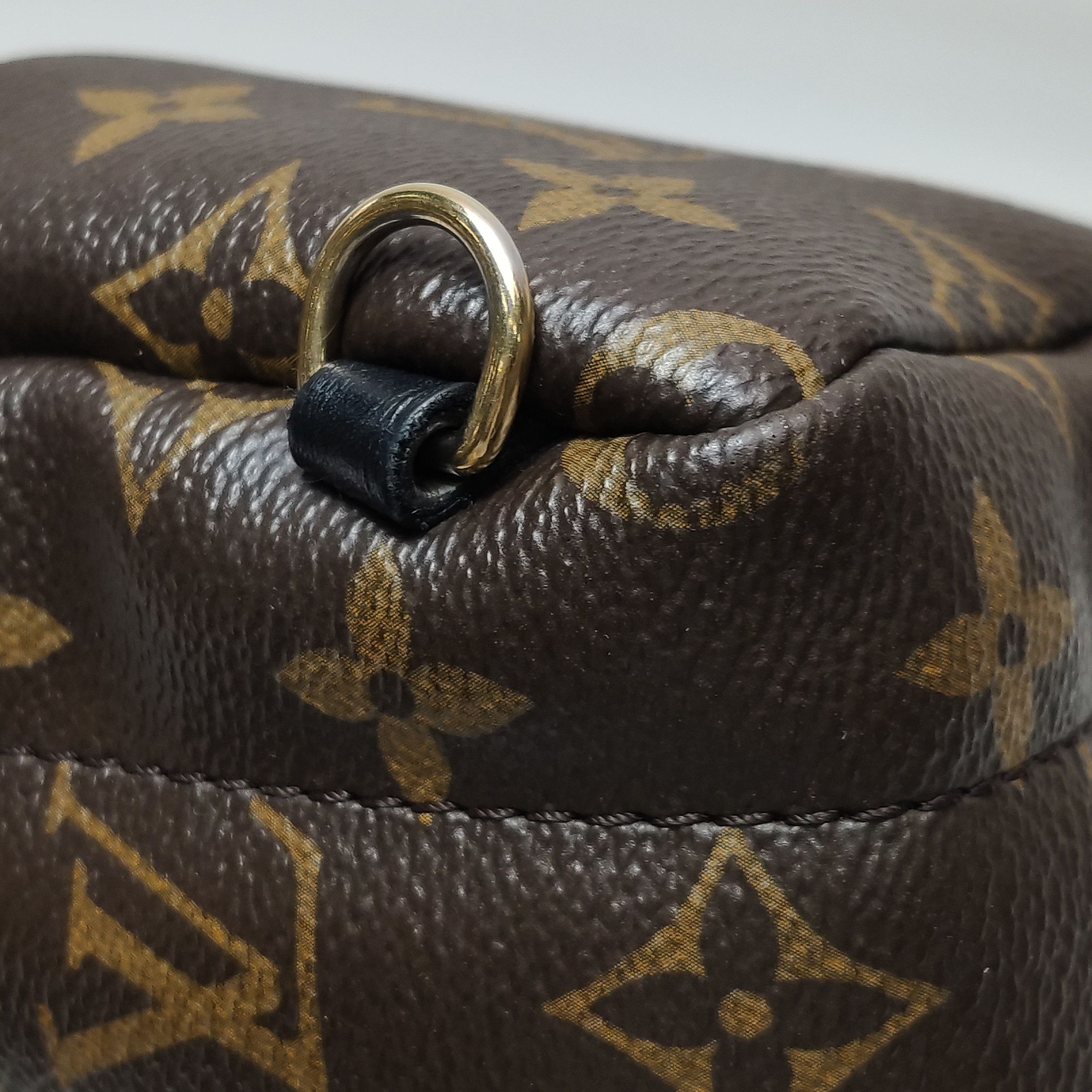 Louis Vuitton Louis Vuitton Palm Springs Mini Monogram Backpack Size OS Size ONE SIZE - 18 Thumbnail