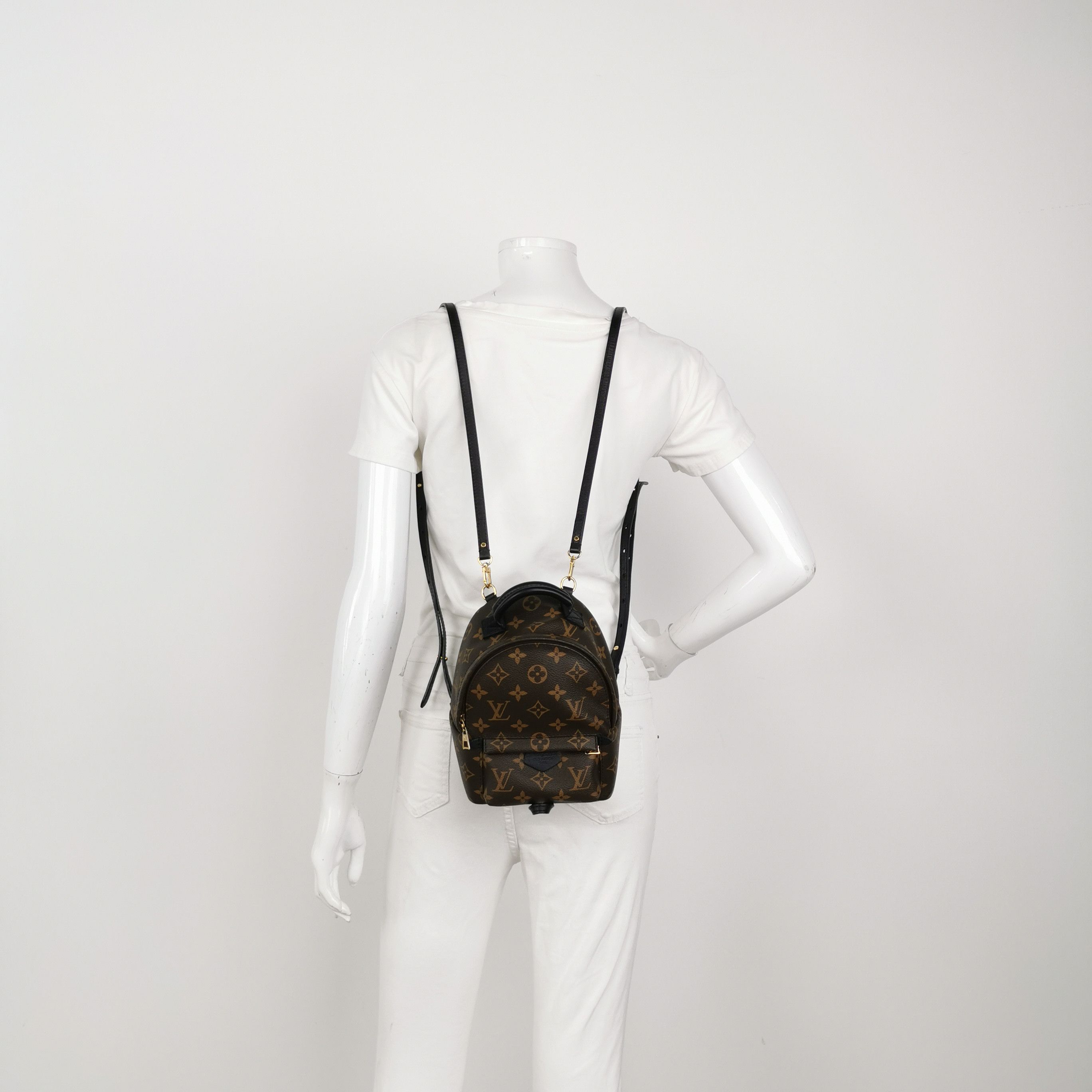 Louis Vuitton Louis Vuitton Palm Springs Mini Monogram Backpack Size OS Size ONE SIZE - 2 Thumbnail