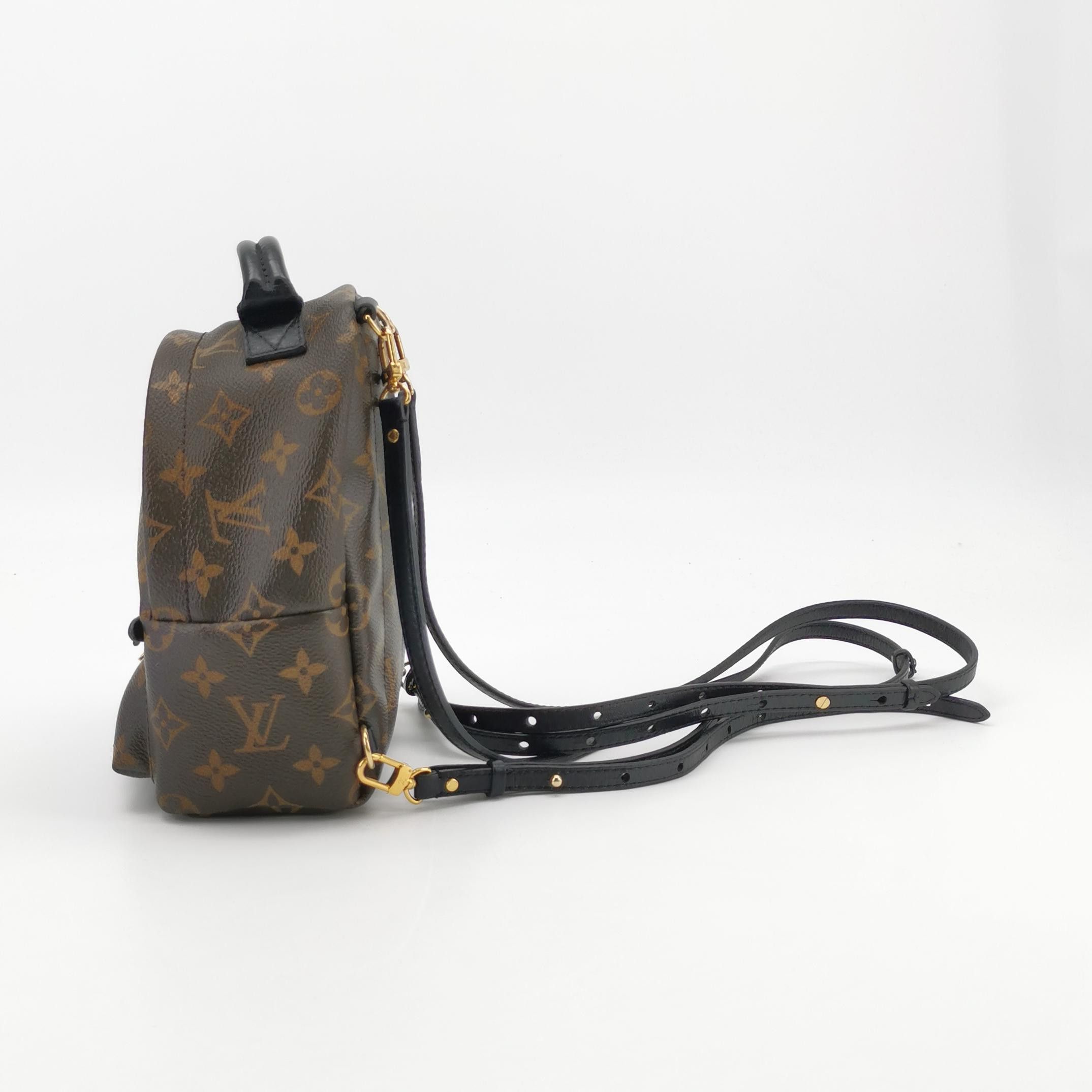 Louis Vuitton Louis Vuitton Palm Springs Mini Monogram Backpack Size OS Size ONE SIZE - 3 Thumbnail