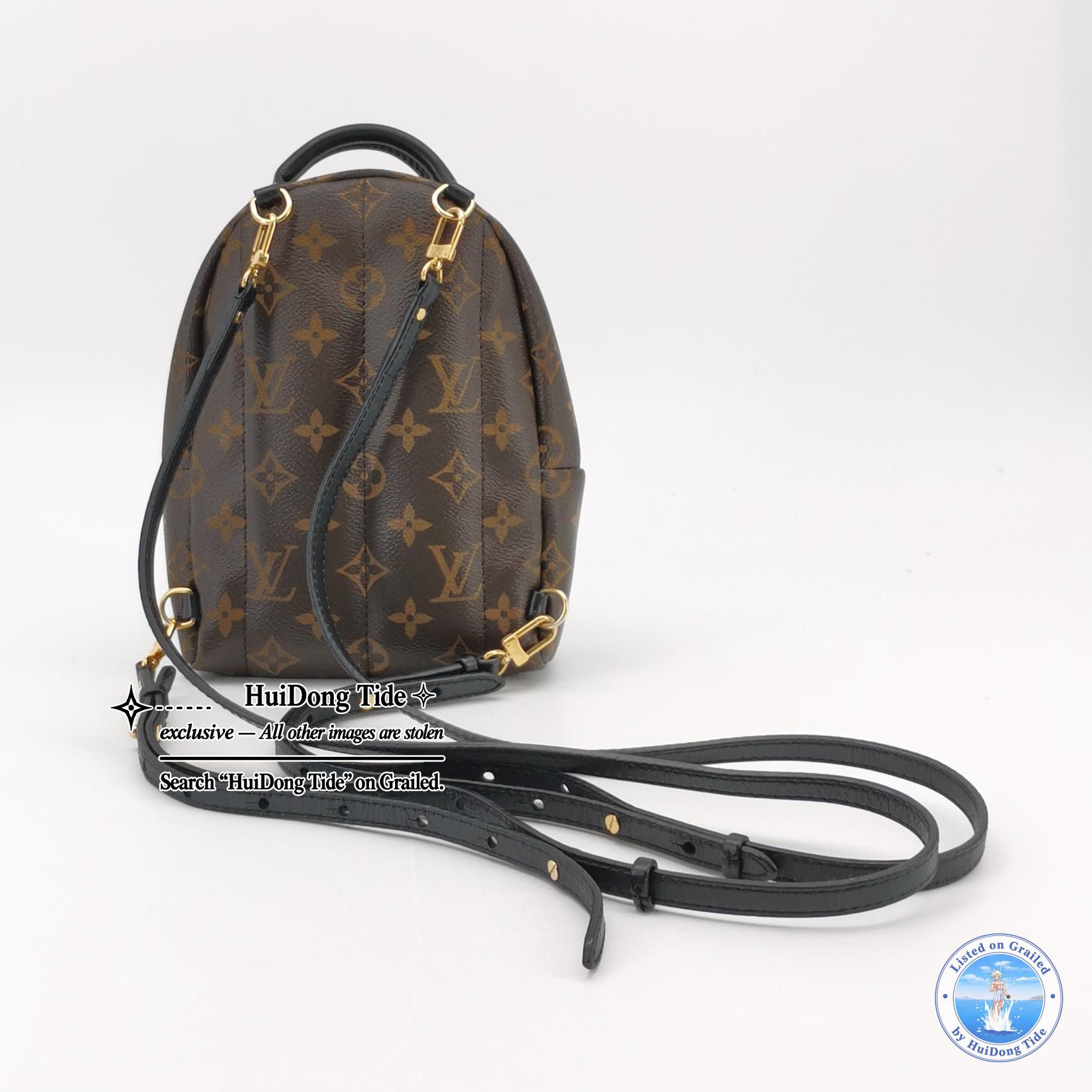 Louis Vuitton Louis Vuitton Palm Springs Mini Monogram Backpack Size OS Size ONE SIZE - 5 Thumbnail