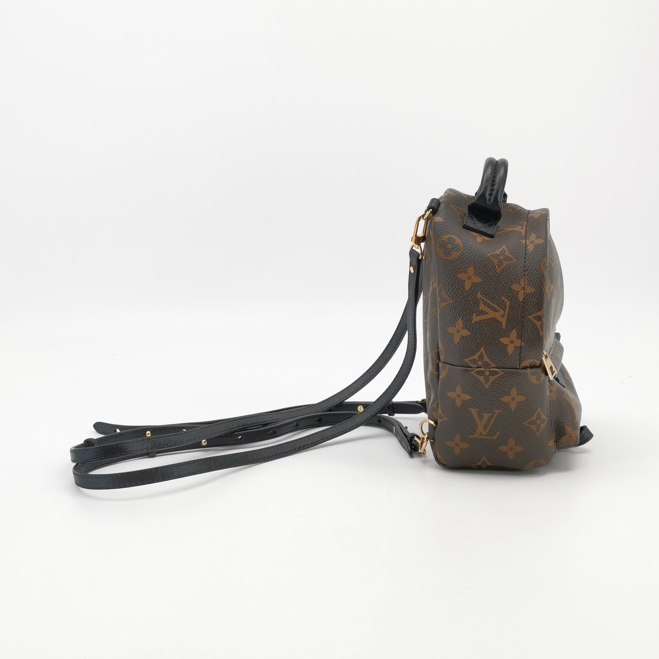 Louis Vuitton Louis Vuitton Palm Springs Mini Monogram Backpack Size OS Size ONE SIZE - 4 Thumbnail