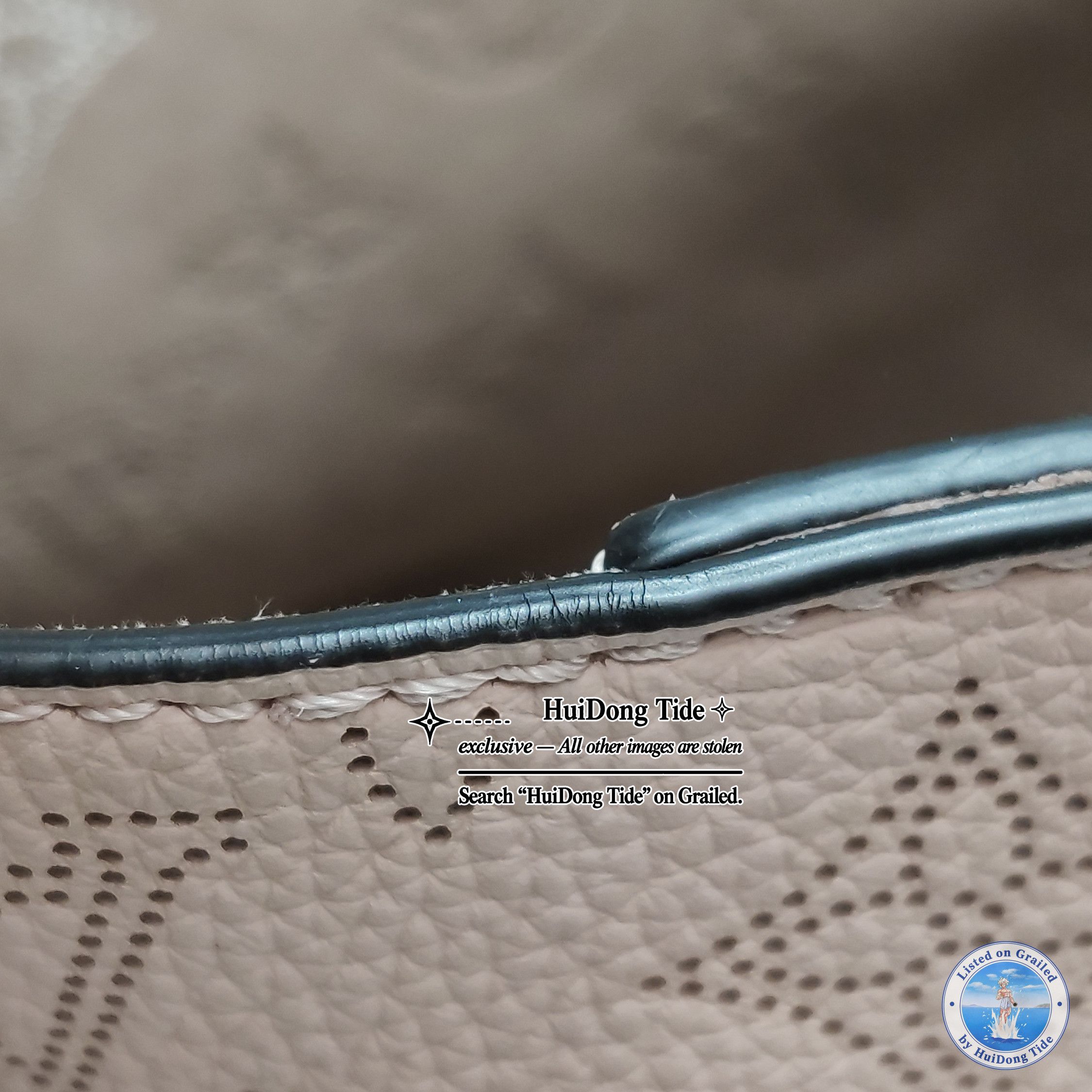 Louis Vuitton Louis Vuitton Blossom Perforated Leather Handle Bag Size ONE SIZE - 14 Thumbnail
