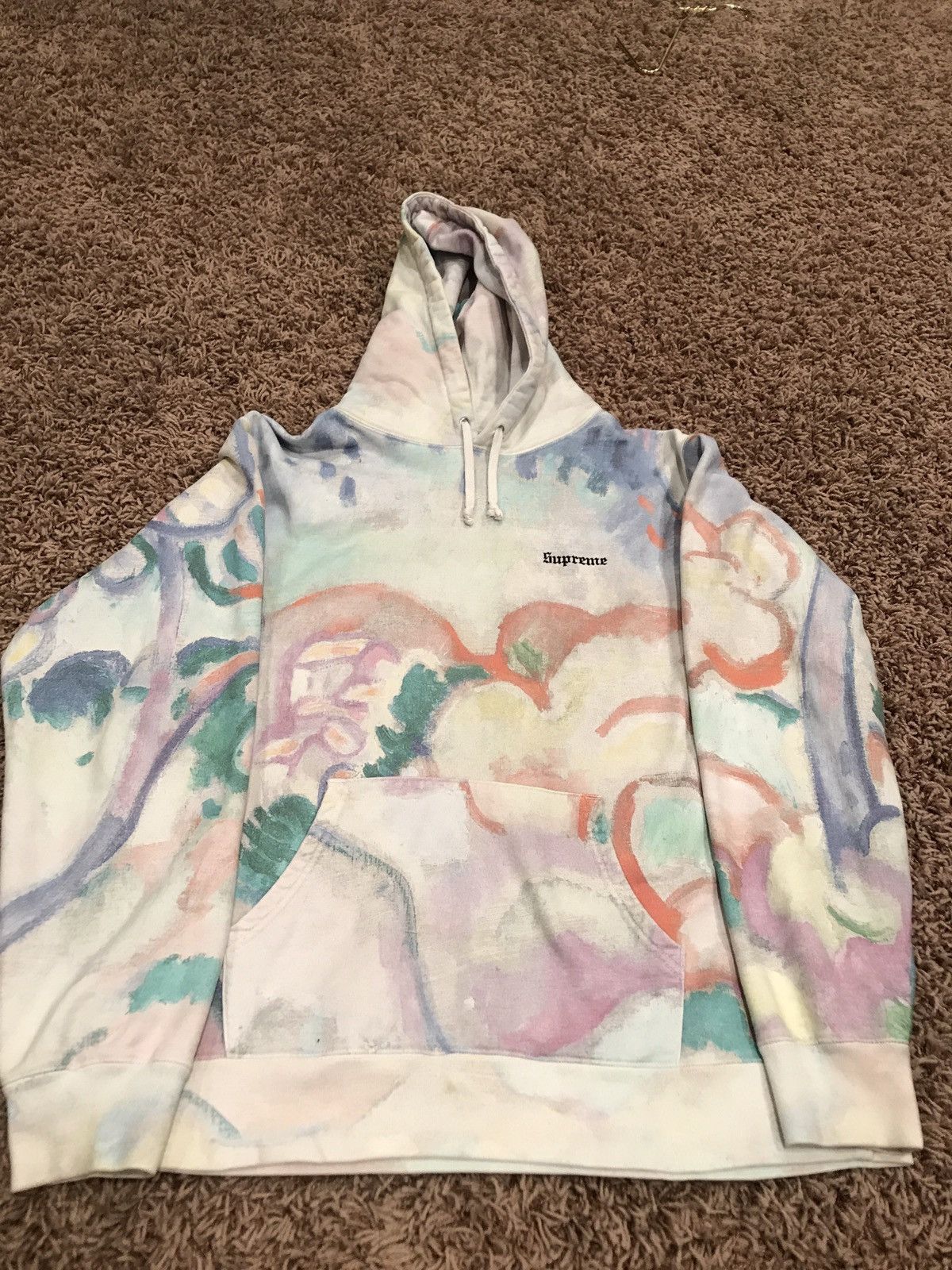 Supreme Landscape Hoodie | Grailed