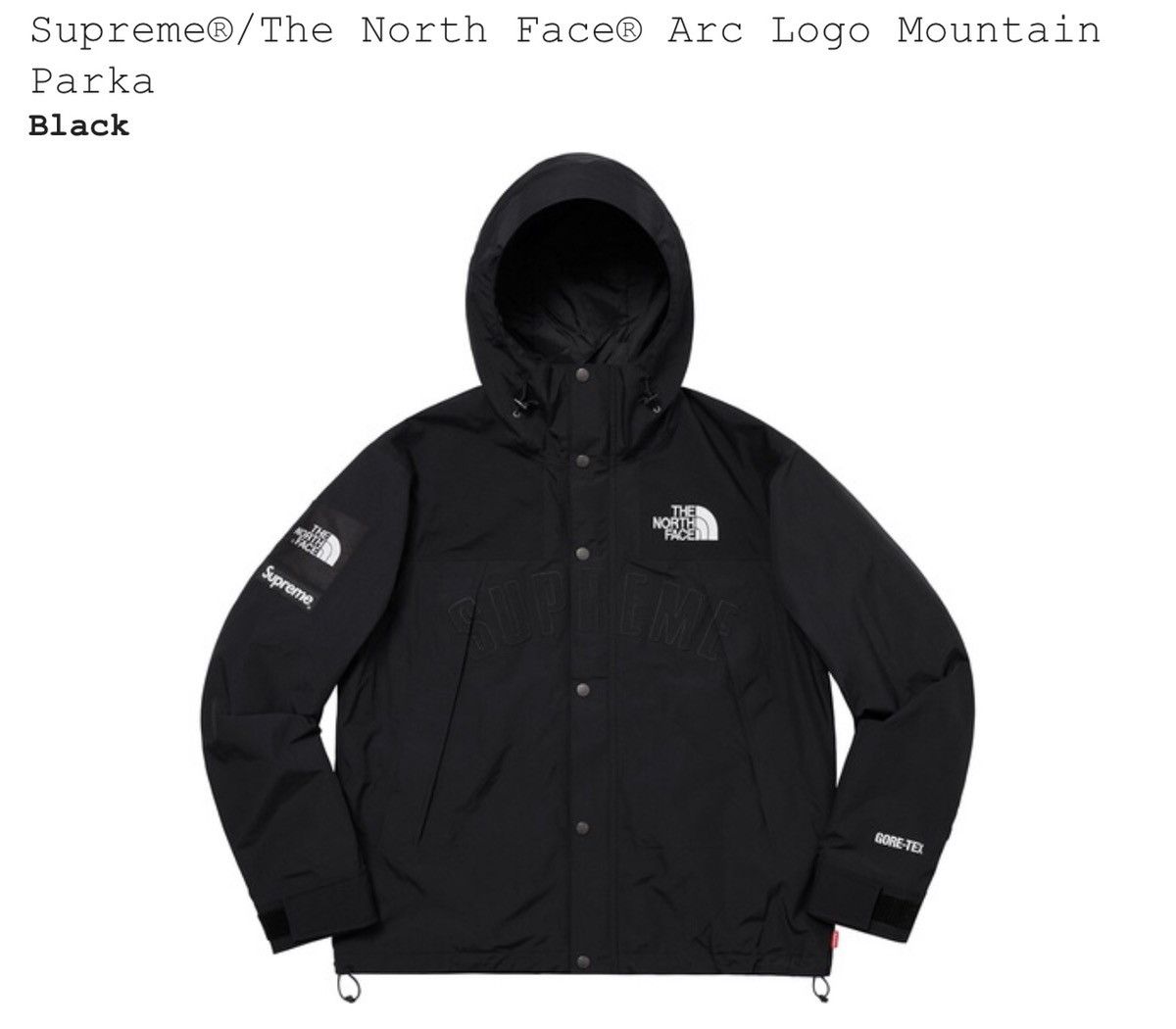 Supreme The North Face Supreme x The North Face Arc Logo Mountain Parka Grailed