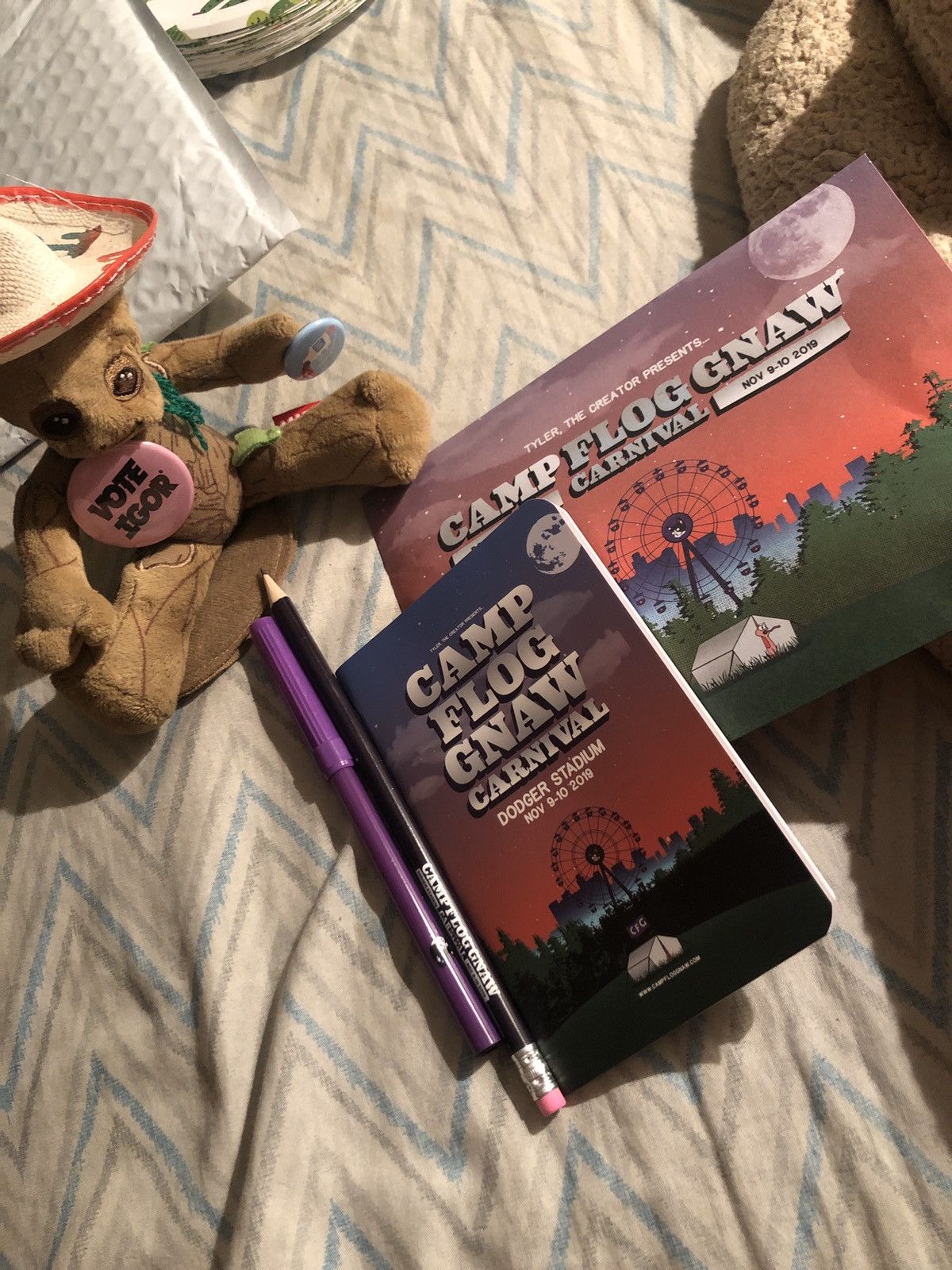 Golf Wang Camp flog gnaw vip ticket Grailed