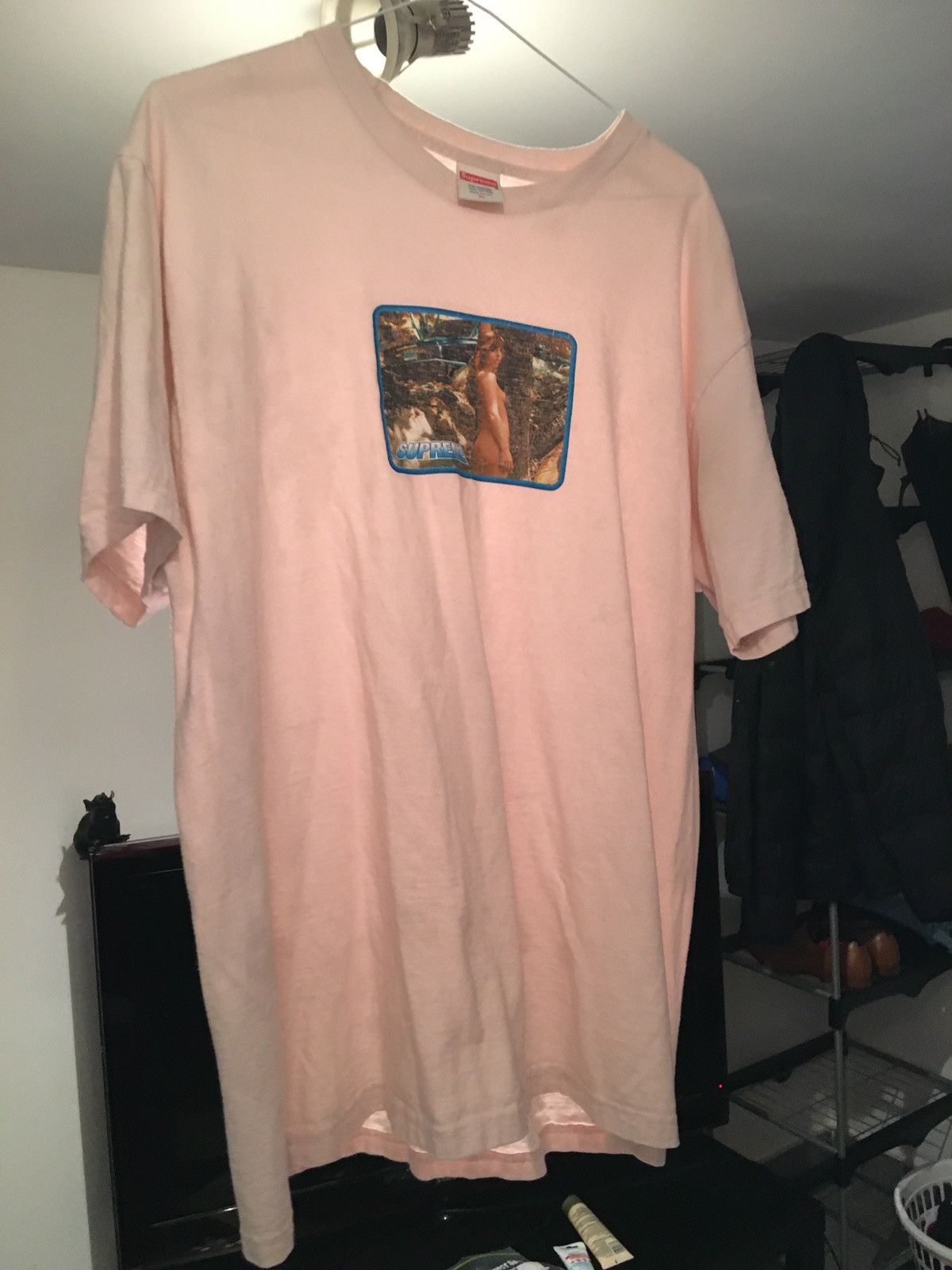 Supreme Larry Clark ヌードT SUPREME New York 2004 Larry Clark Tee Calendar Girl Sz L