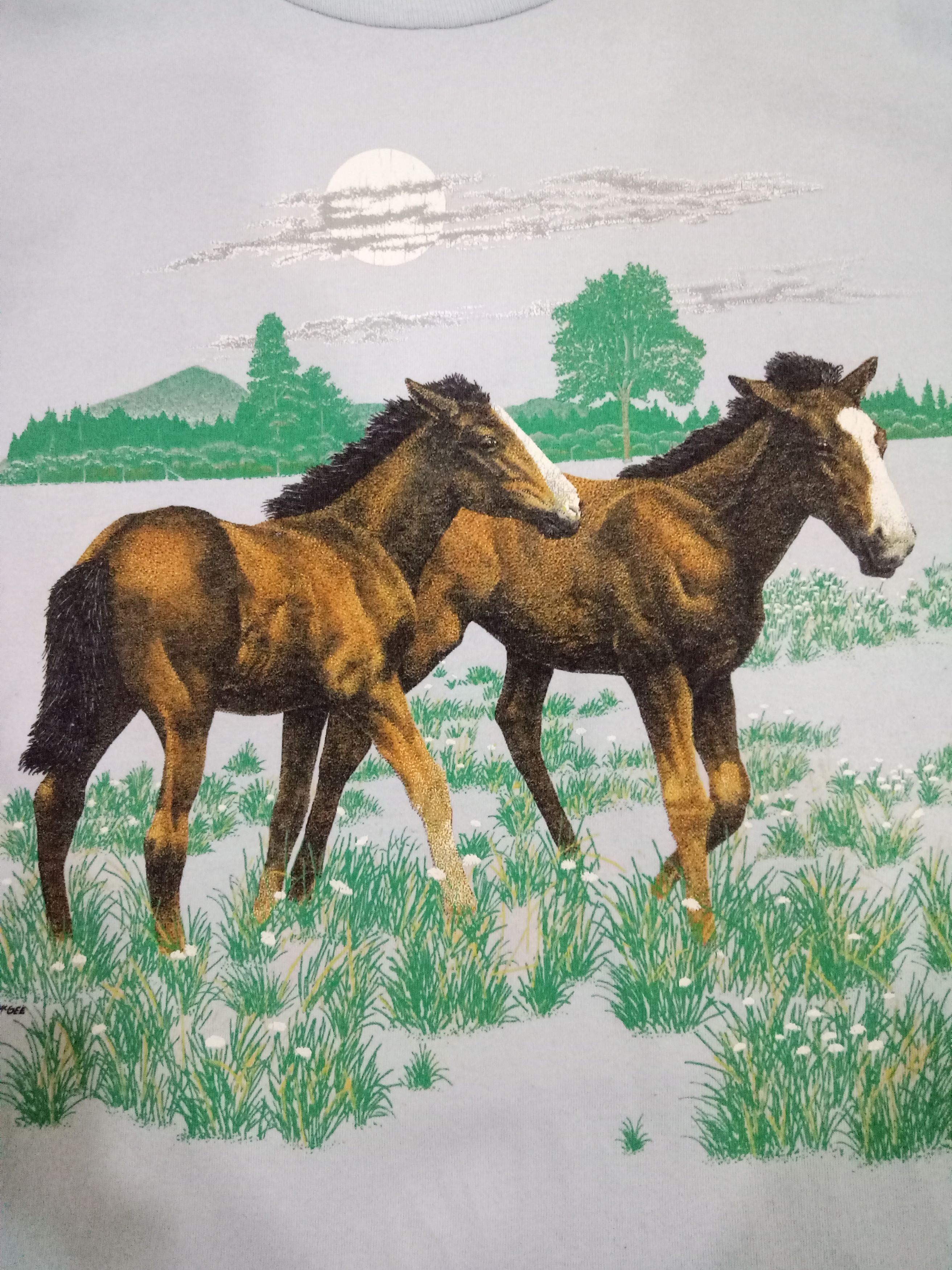Jerzees × Vintage Vintage '90 Wild Horse Nice Printed Size US XL / EU 56 / 4 - 3 Thumbnail