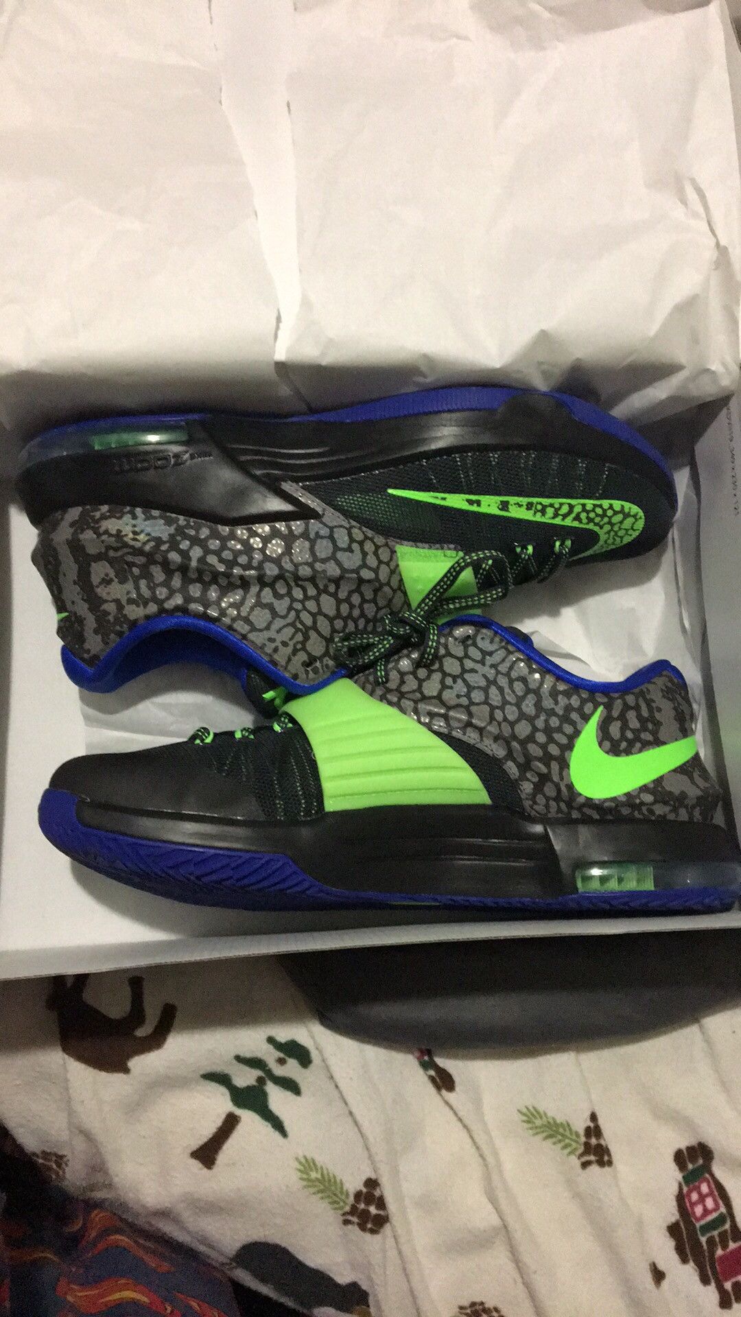 kd electric eels