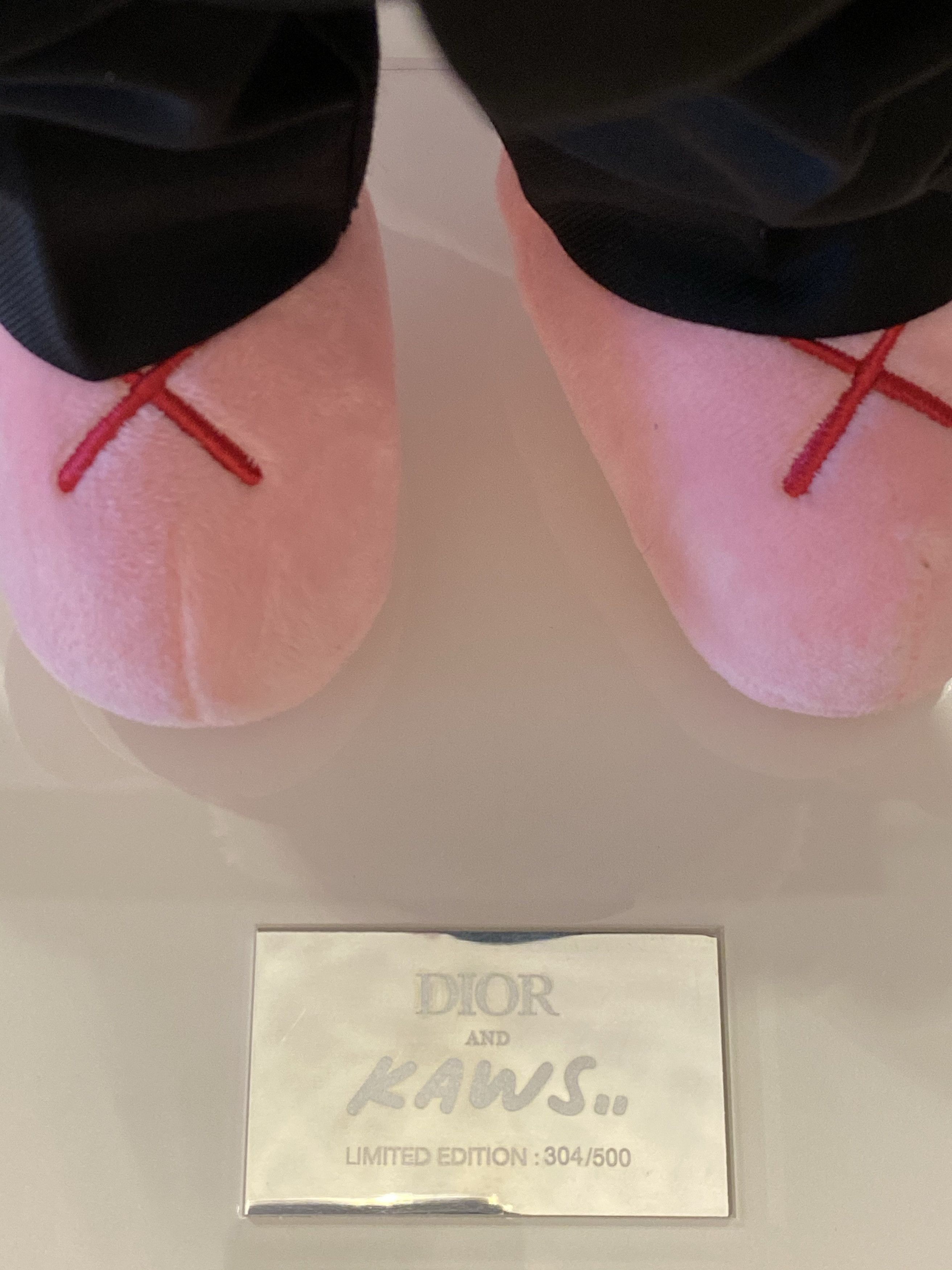 dior kaws pink