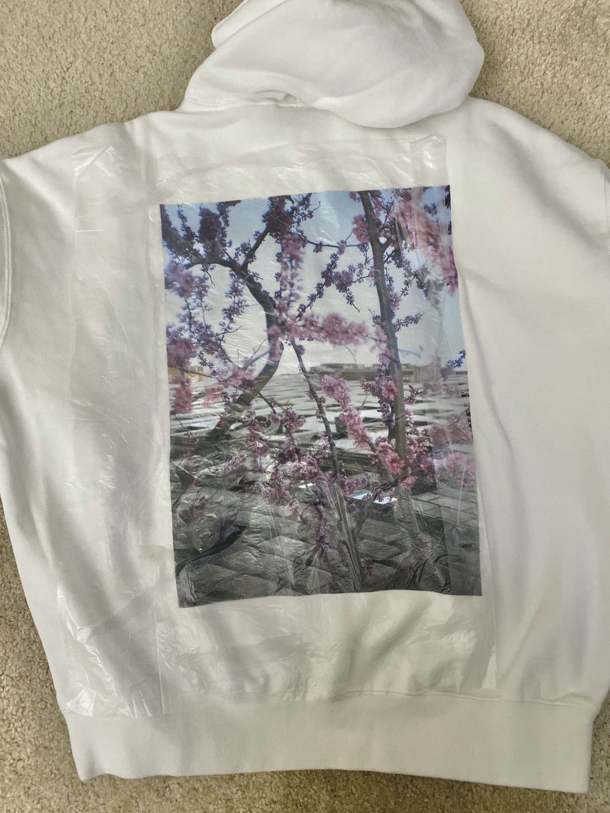 FOG × Fear of God × Pacsun FOG x PacSun Essentials Shaniqwa Jarvis  