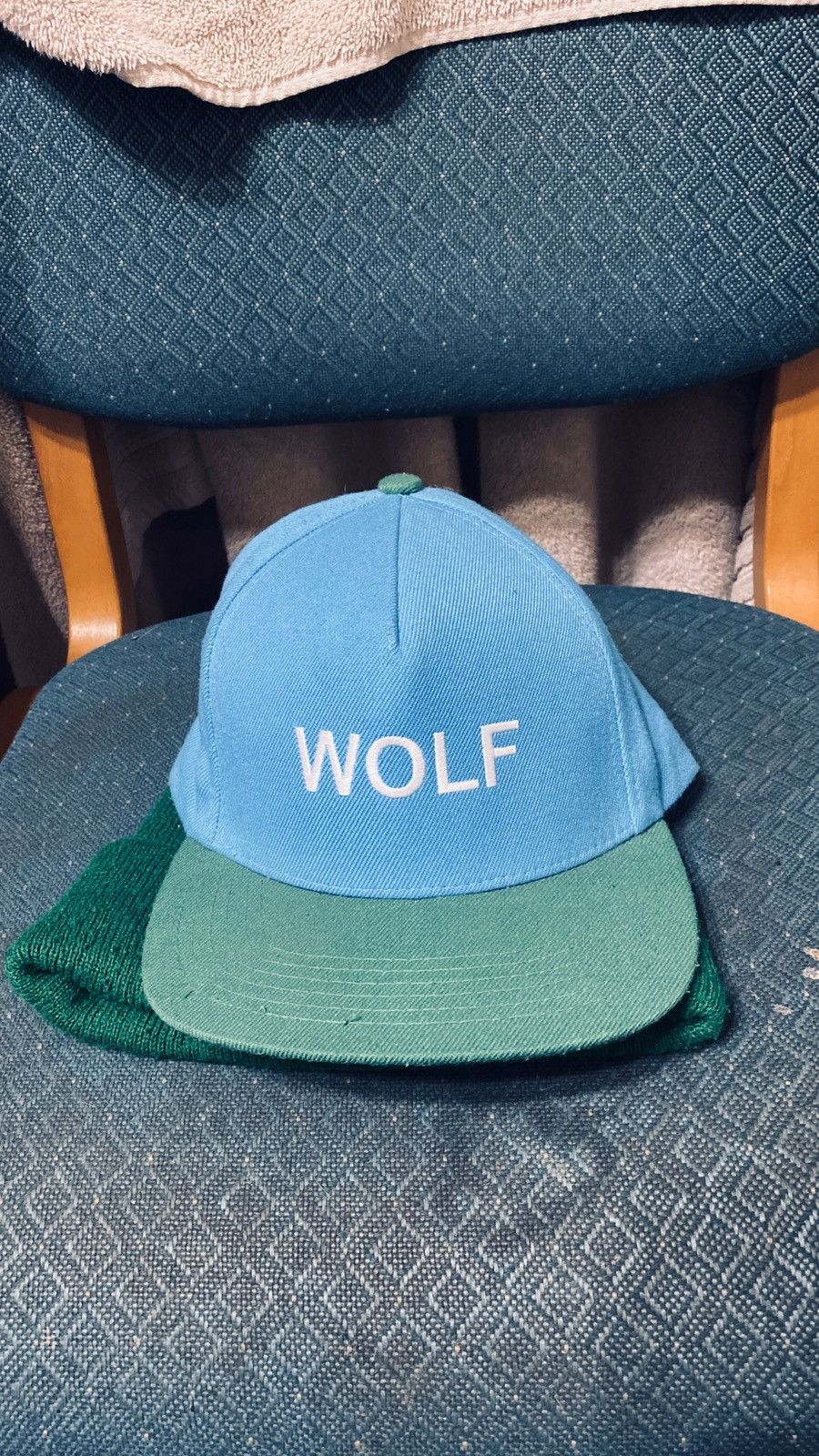 Golf Wang × Tyler The Creator Wolf album cover hat tyler the creator ...