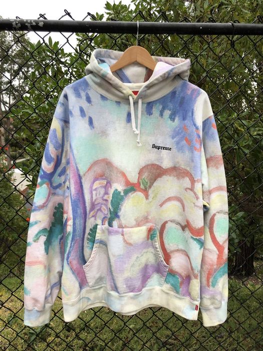 Supreme on sale landscape hoodie