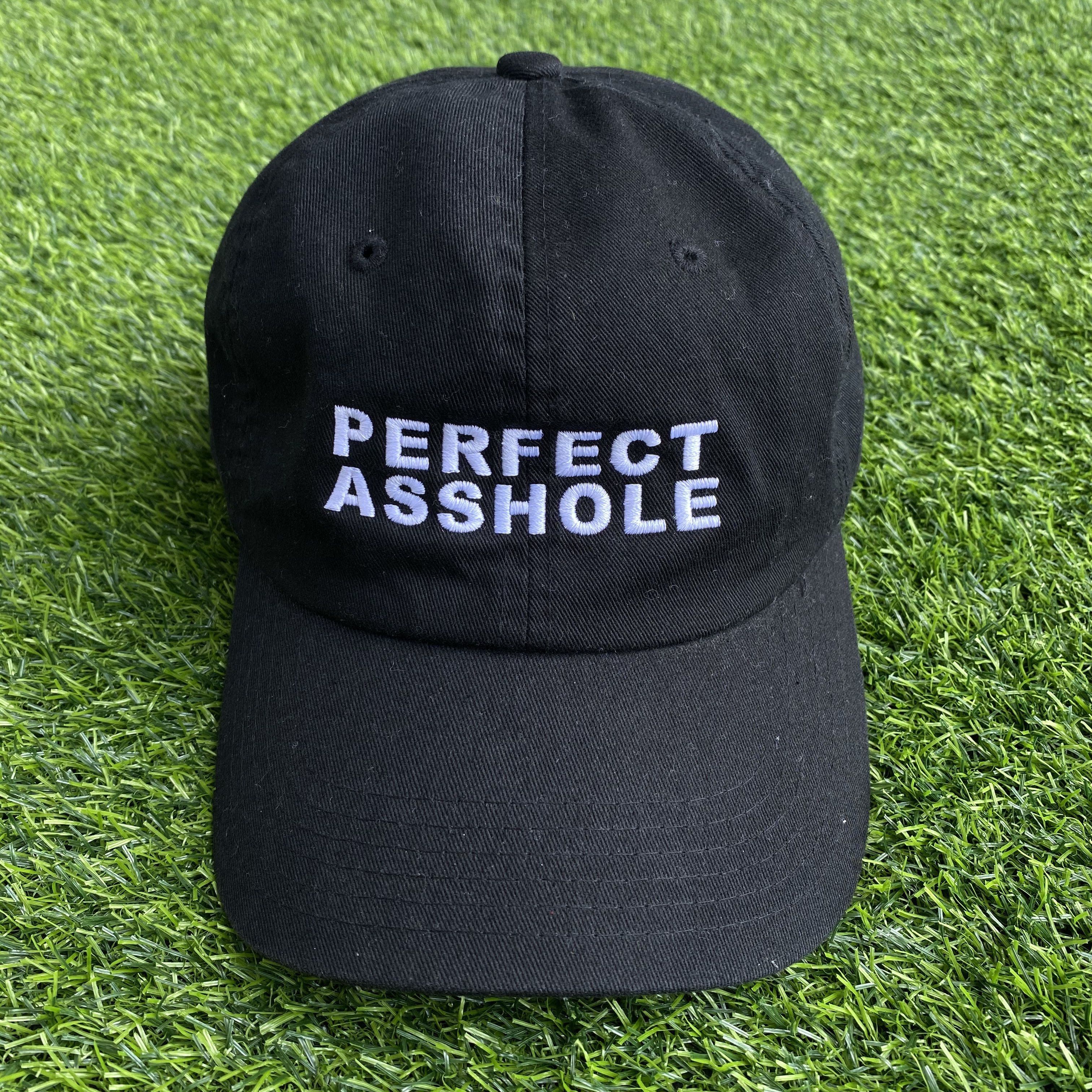 Pleasures Pleasures Perfect Asshole Cap | Grailed