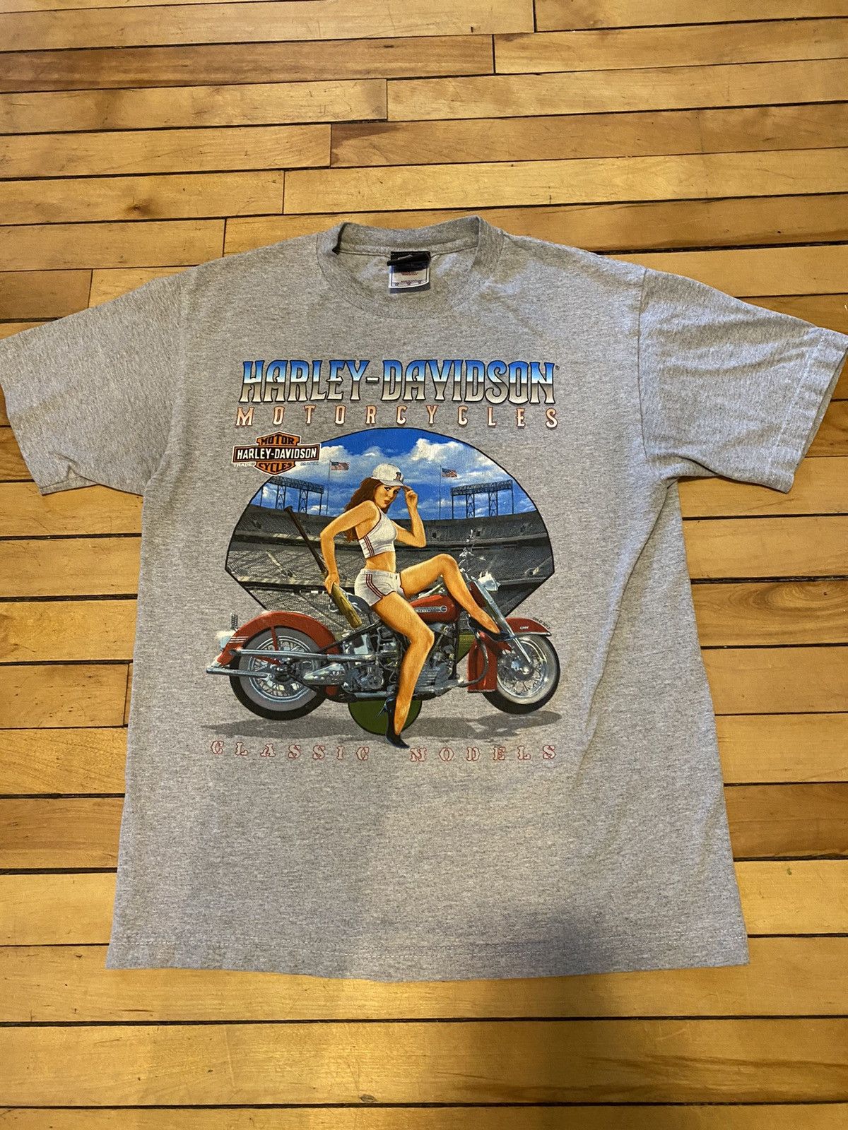 image of Vintage Harley Davidson T-Shirt in Grey, Men's (Size Medium)
