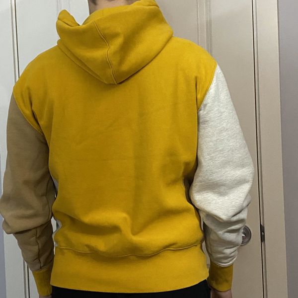 Multi coloured sales champion hoodie