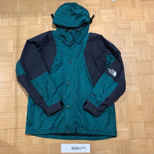 The North Face The North Face Gore-Tex Mountain Light Jacket