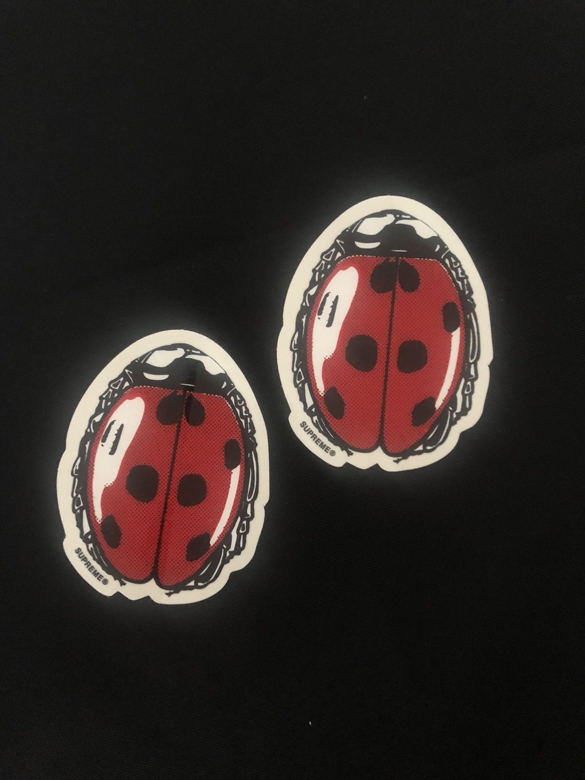 Supreme ladybug clearance