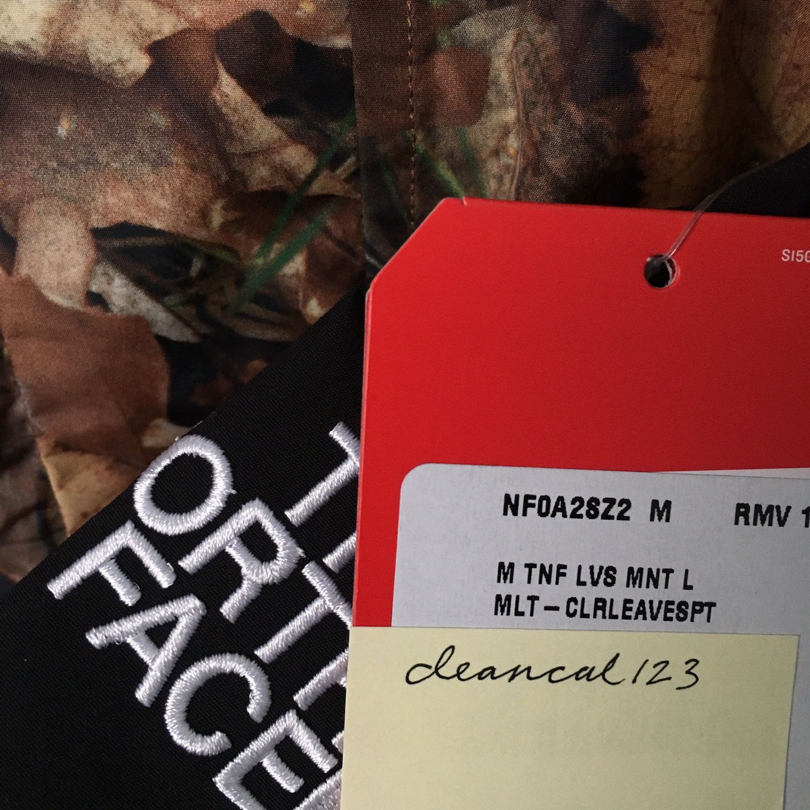 Supreme × The North Face Supreme The North Face Mountain