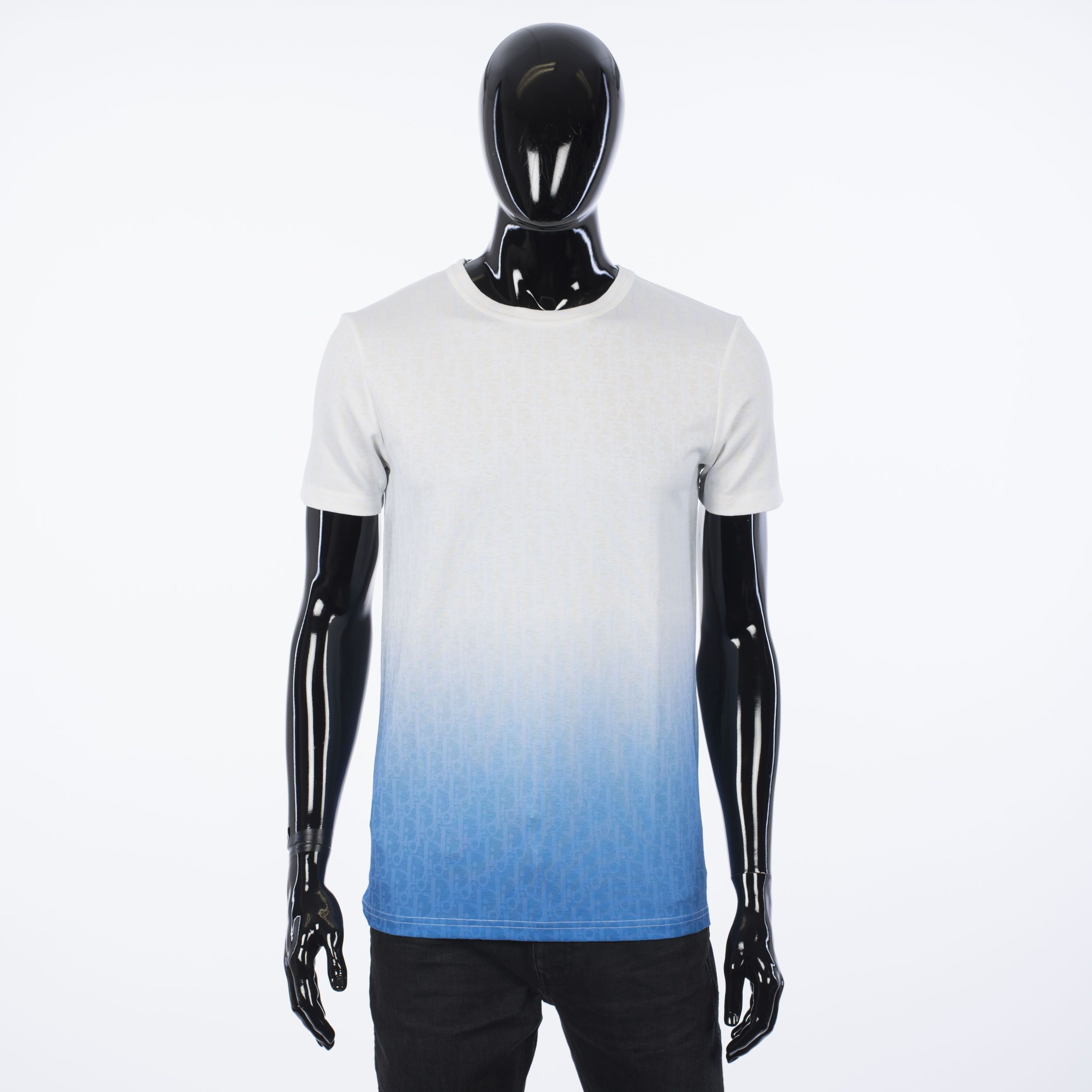 Dior White/Blue Gradient T-shirt All-Over Dior Oblique Motif