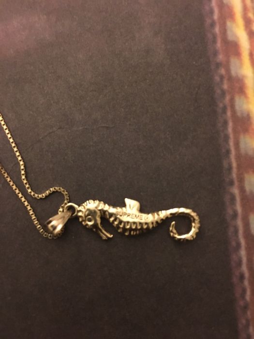 Supreme seahorse pendant ネックレス - アクセサリー