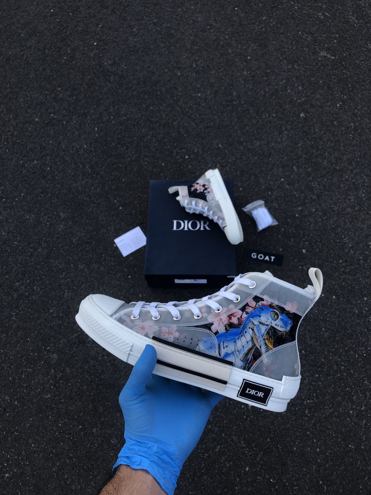 dior b23 dinosaur