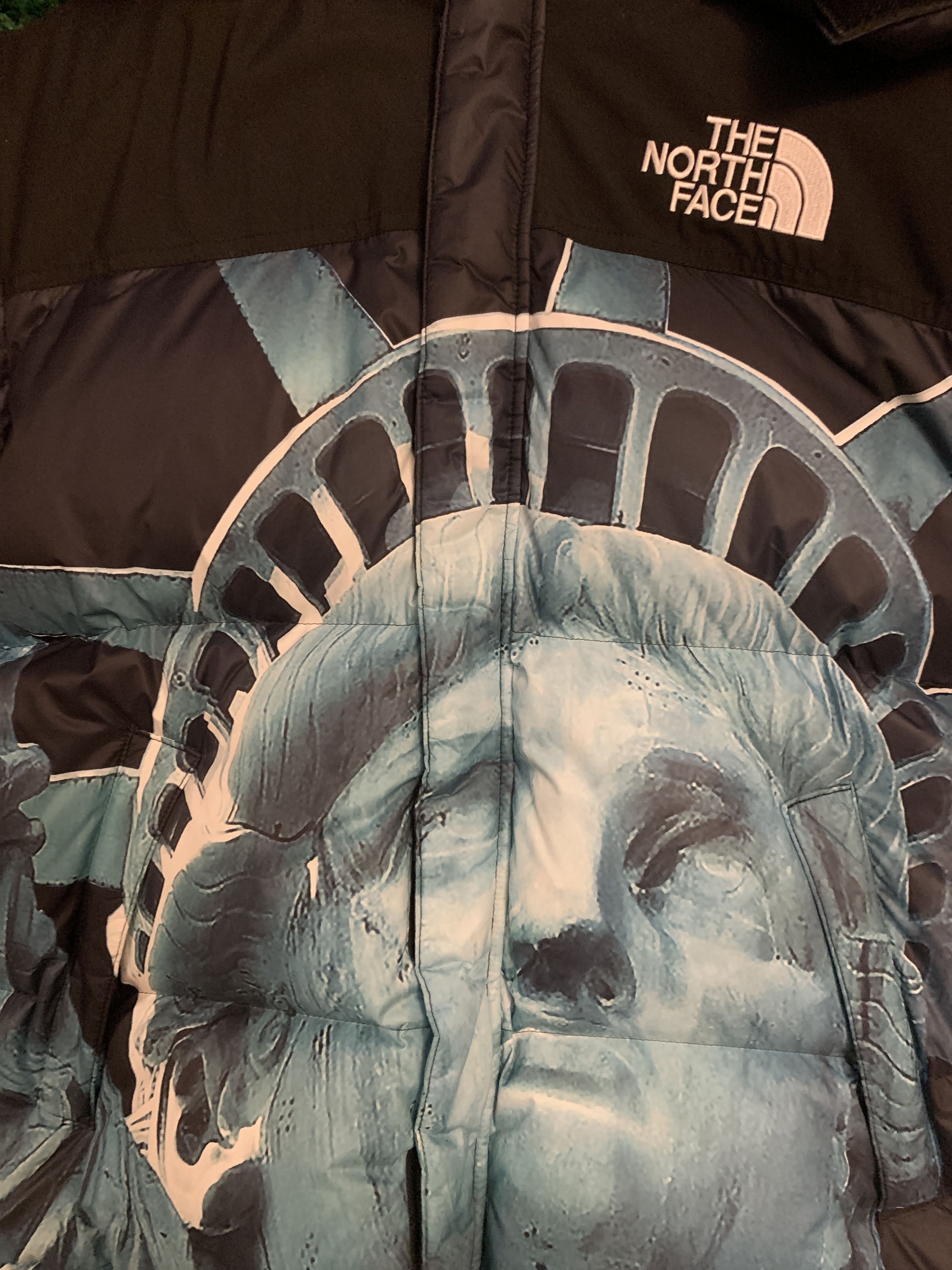 Supreme The North Face Statue Of Liberty Baltoro Jacket | Grailed