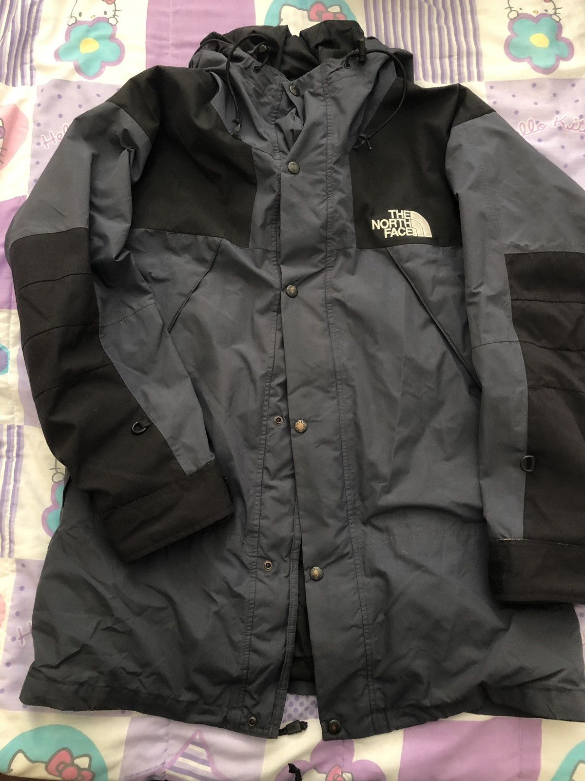 The North Face The North Face Mountain Jacket used vintage gore