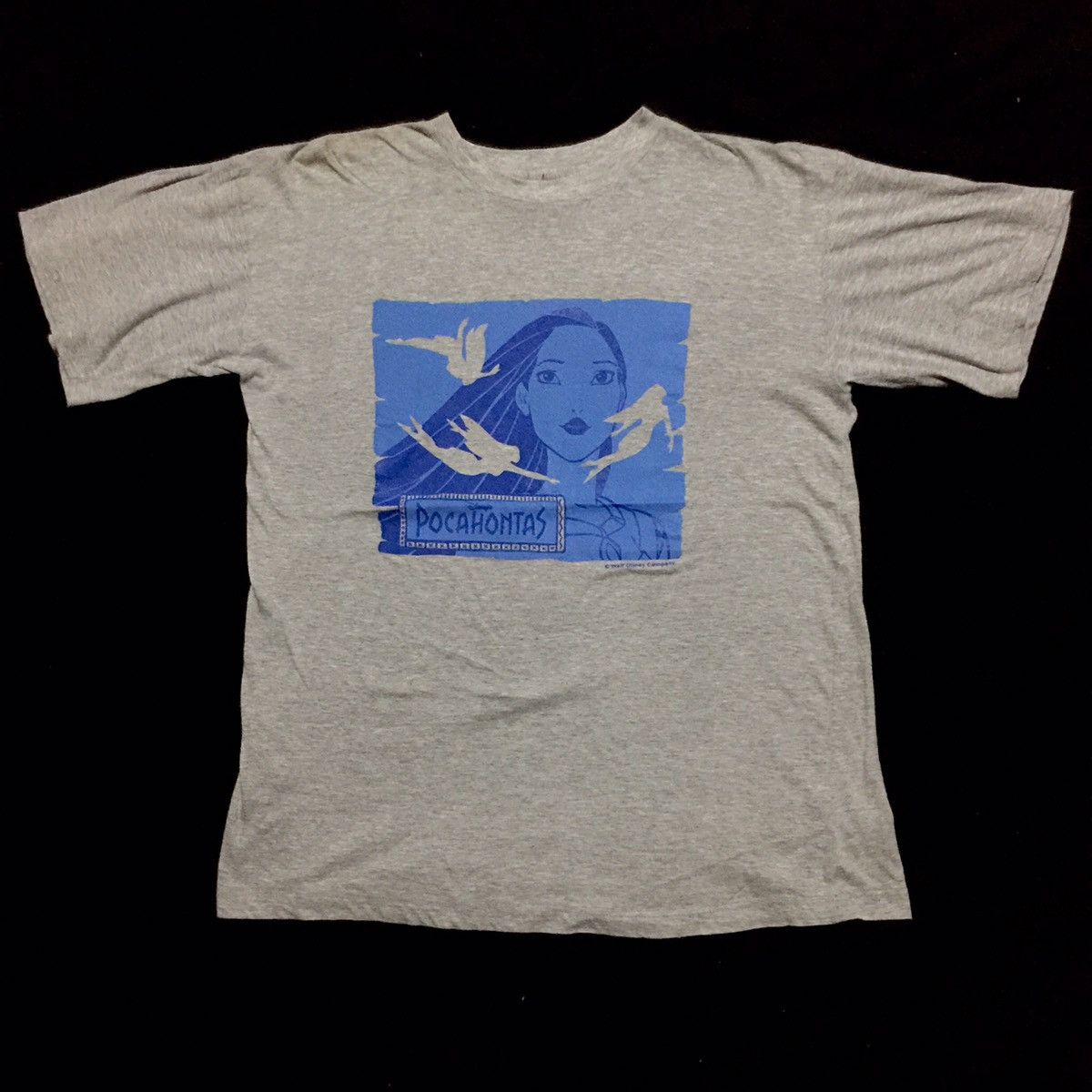 Vintage 1995 Pocahontas shirt 2024