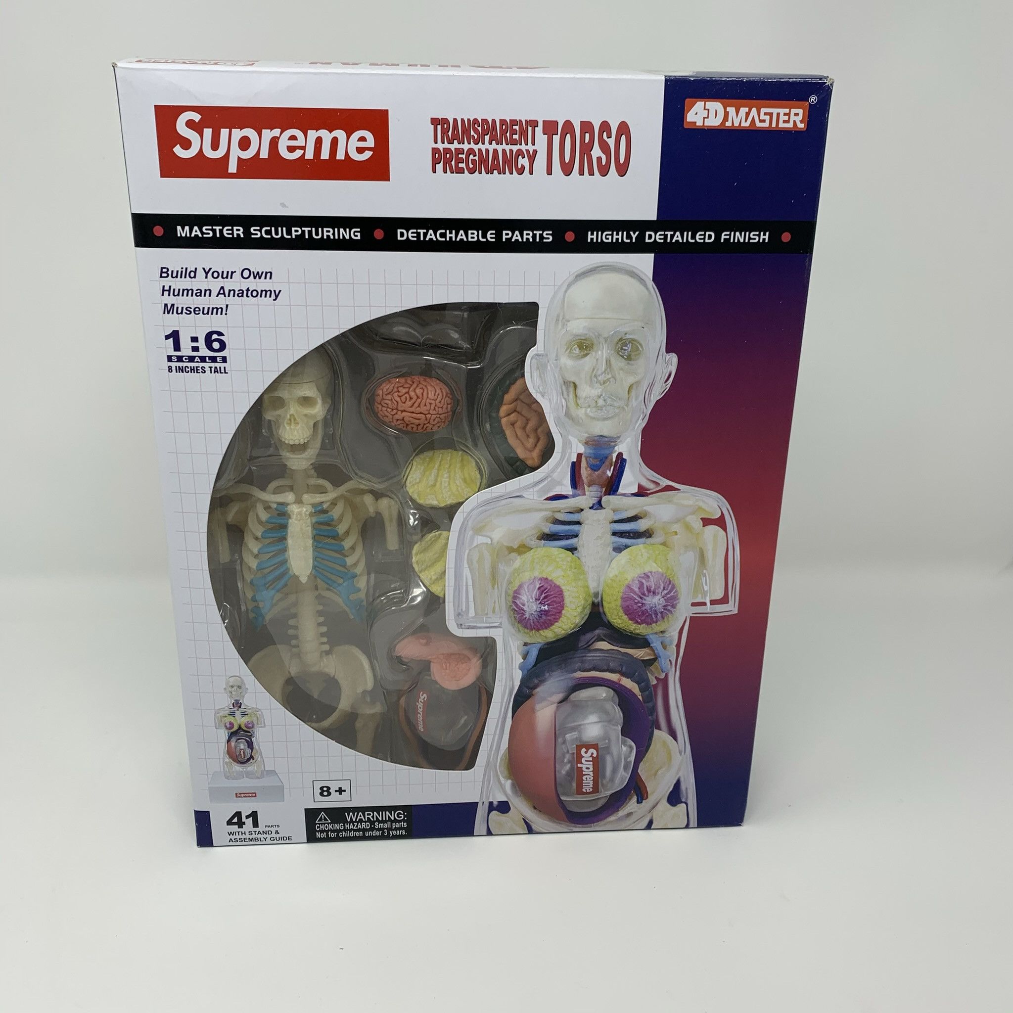 Supreme Female Anatomy Model | Grailed