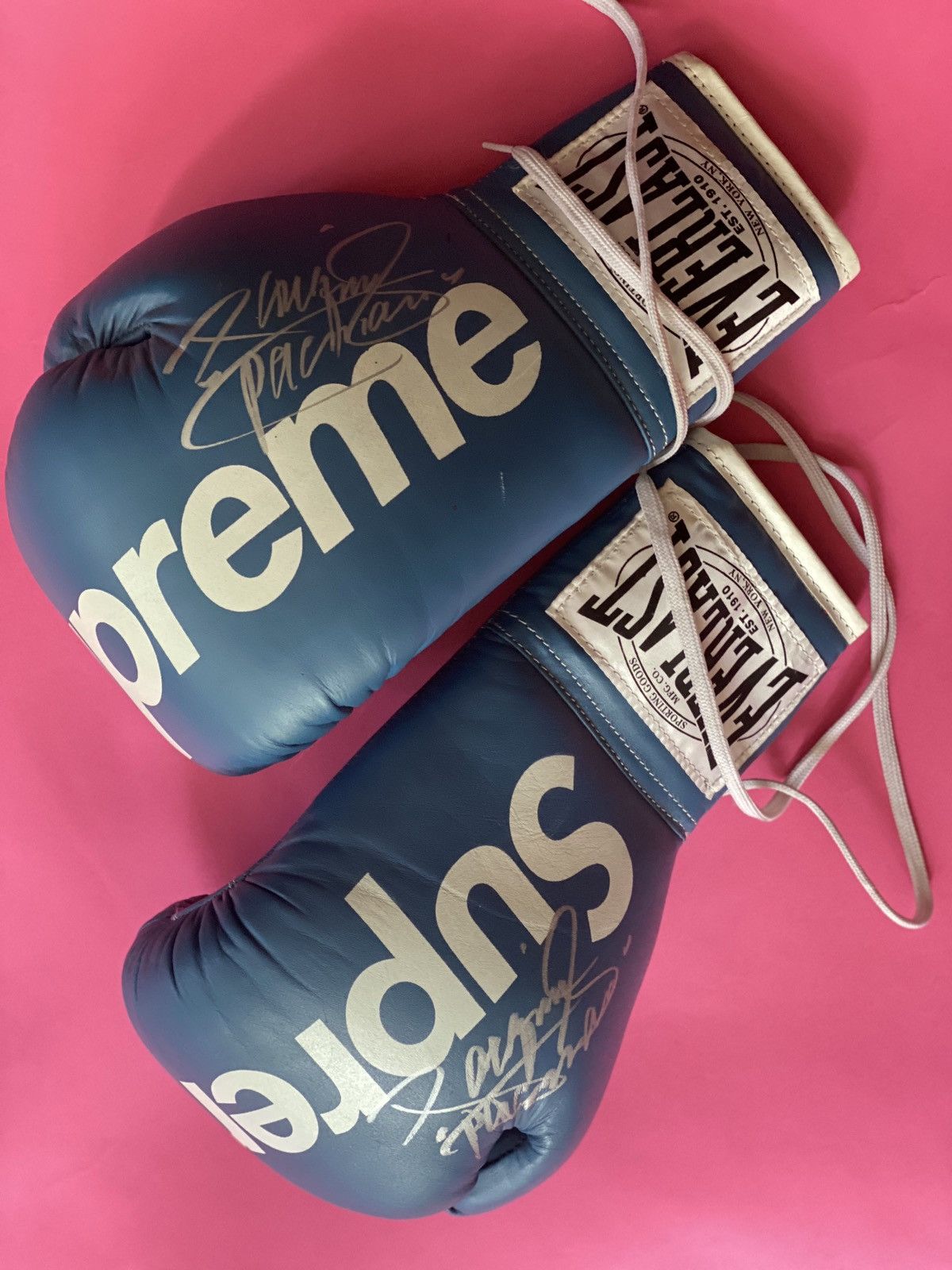 🌎  Everlast, Supreme, Everlast boxing gloves