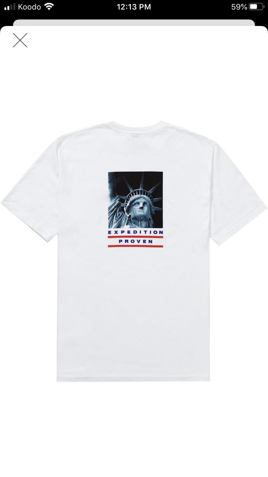 Supreme North Face Statue Of Liberty | Grailed