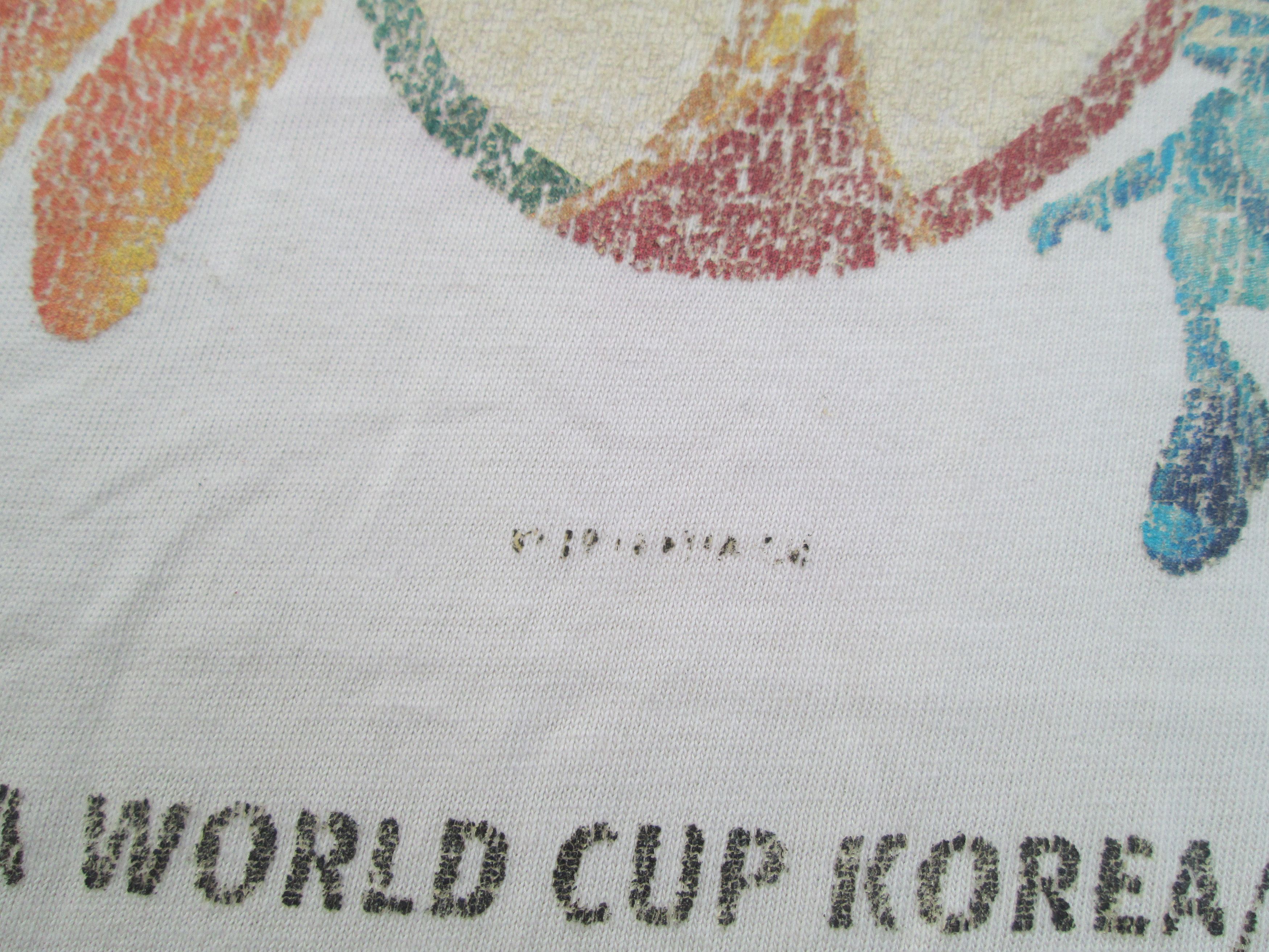 2002 Fifa World Cup Korea / Japan