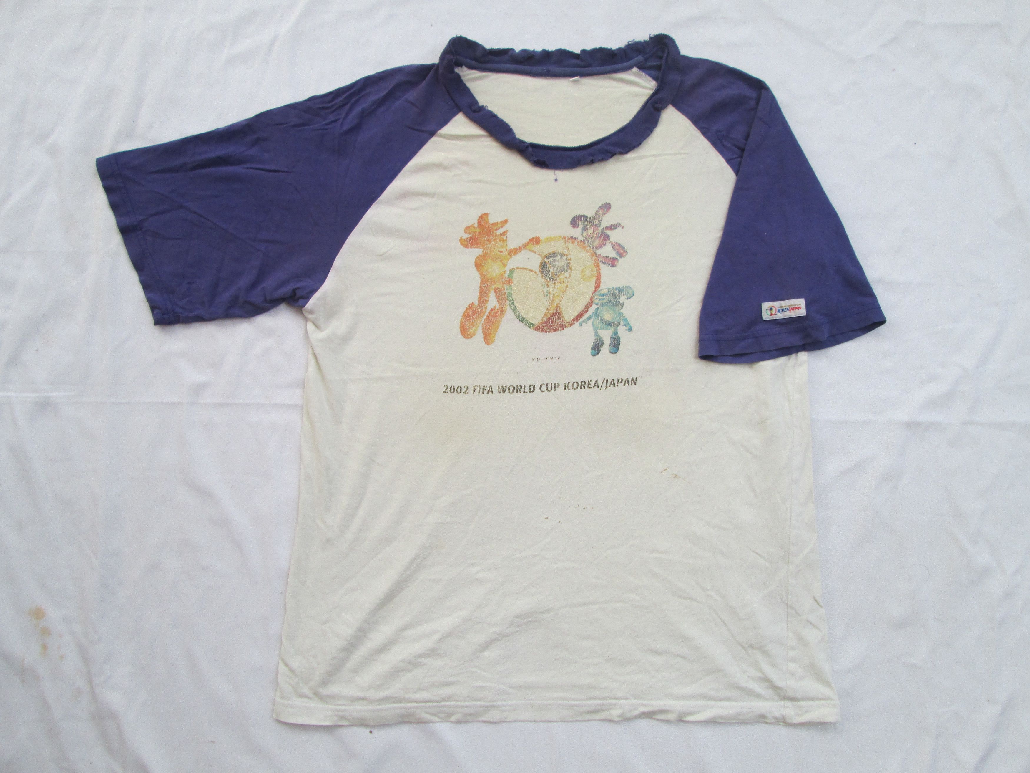 2002 Fifa World Cup Korea / Japan