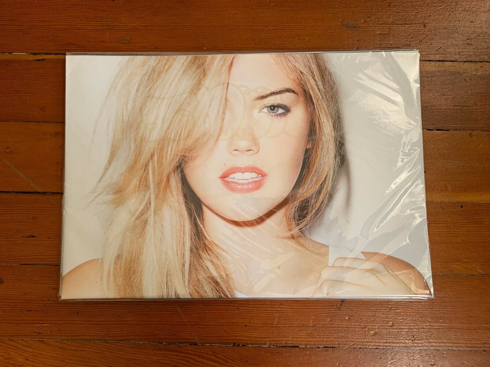 SNEEZE MAGAZINE N°12 Kate Upton 2011年 Sneeze Magazine Sneeze Magazine Issue 12 Kate Upton 2011 | Grailed