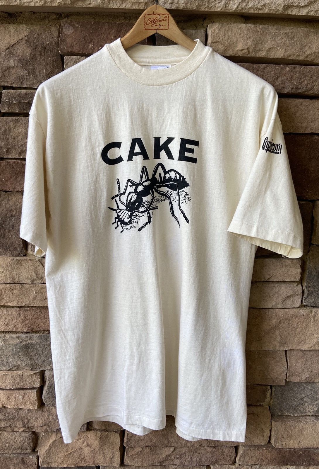 希少 90s CAKE Tシャツ バンド 蟻　ケイク Band Tees × Vintage Vintage Cake Single Stitch Ant Capricorn