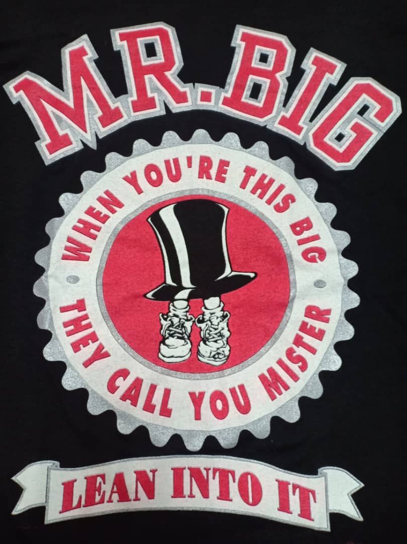 Band Tees × Vintage Vintage Mr Big band t shirt Rock Tee 6/20 Size US L / EU 52-54 / 3 - 5 Thumbnail