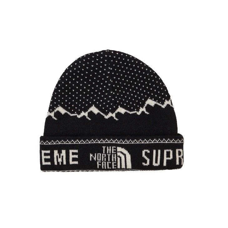Supreme North Face Beanie | Grailed