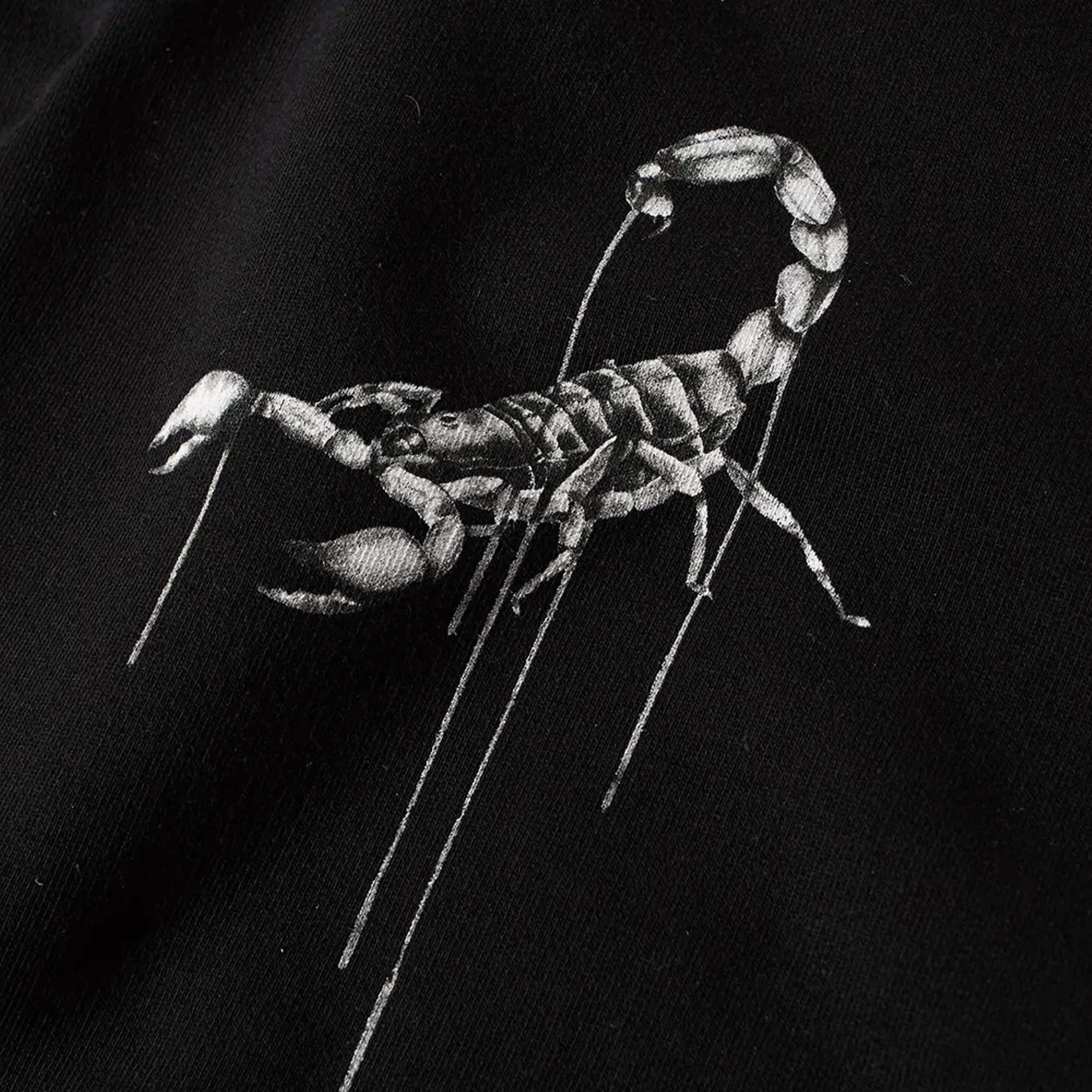 Off-White Off-White Othelo's Scorpion Crew Black rare Size US XS / EU 42 / 0 - 4 Thumbnail