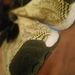 Adidas Yellow glitch camo nmds Size US 9.5 / EU 42-43 - 4 Thumbnail