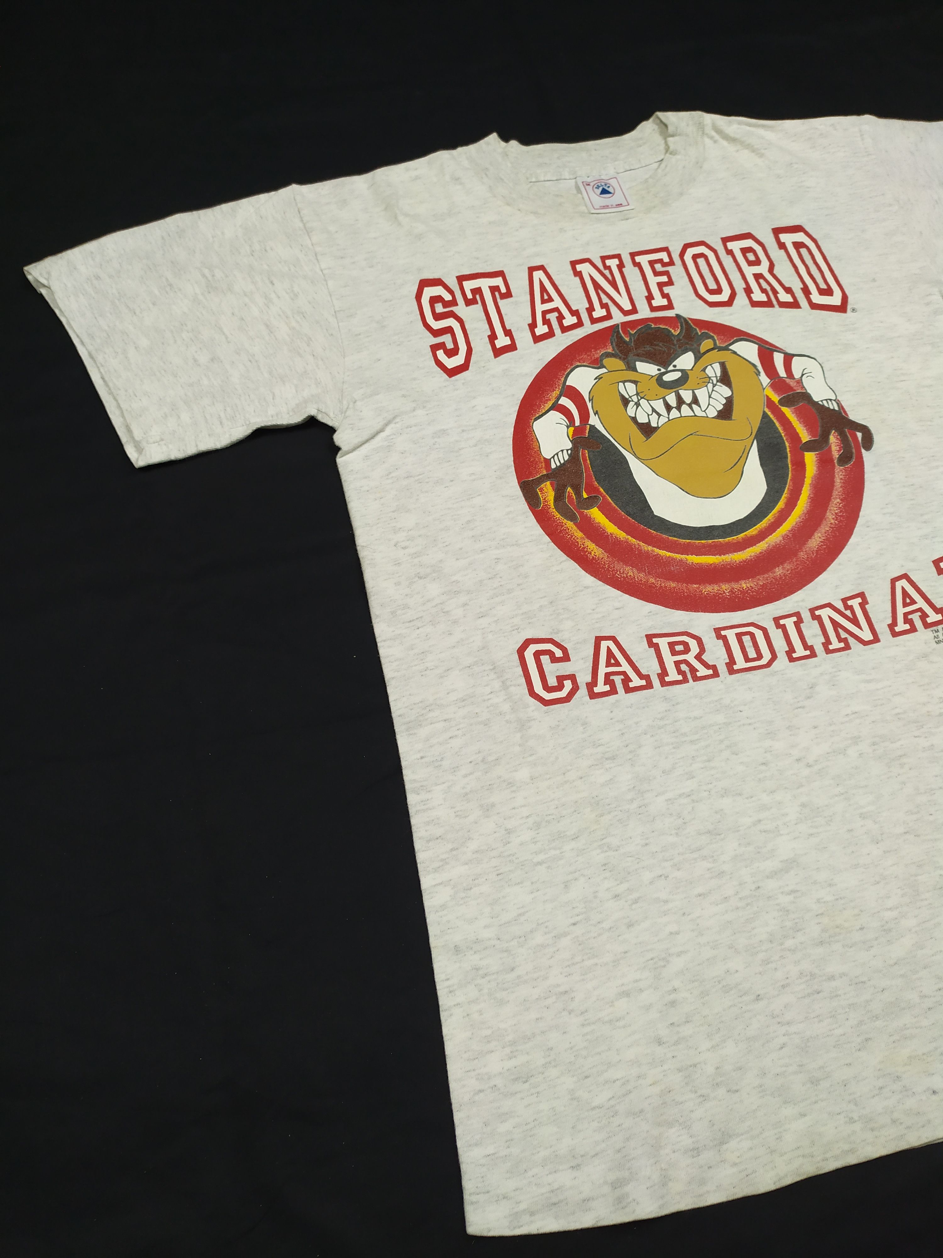 Vintage VINTAGE TAZ MANIA EVILS STANFORD CARDINAL 1993 T SHIRT Size US M / EU 48-50 / 2 - 6 Thumbnail