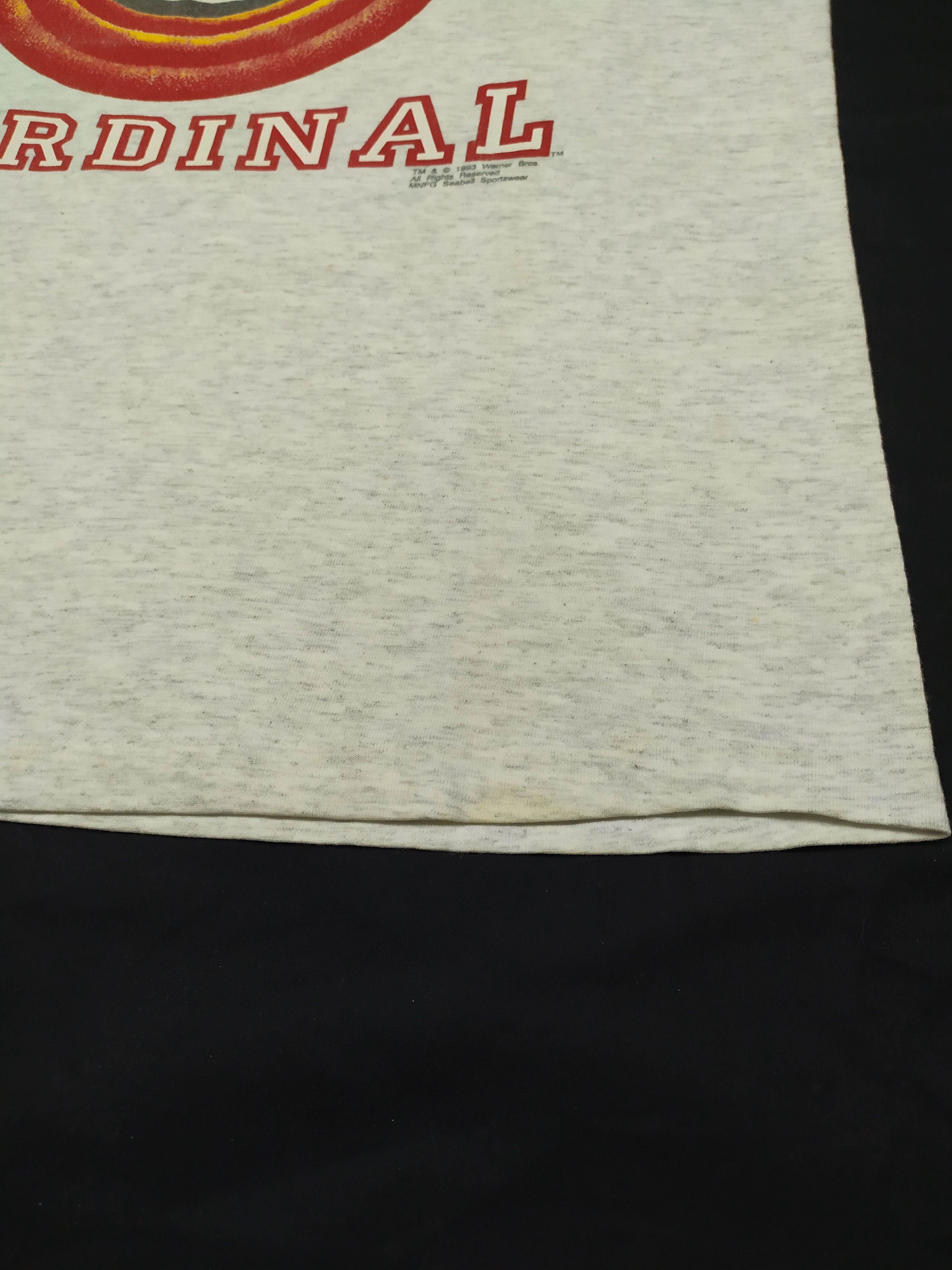Vintage VINTAGE TAZ MANIA EVILS STANFORD CARDINAL 1993 T SHIRT Size US M / EU 48-50 / 2 - 7 Thumbnail